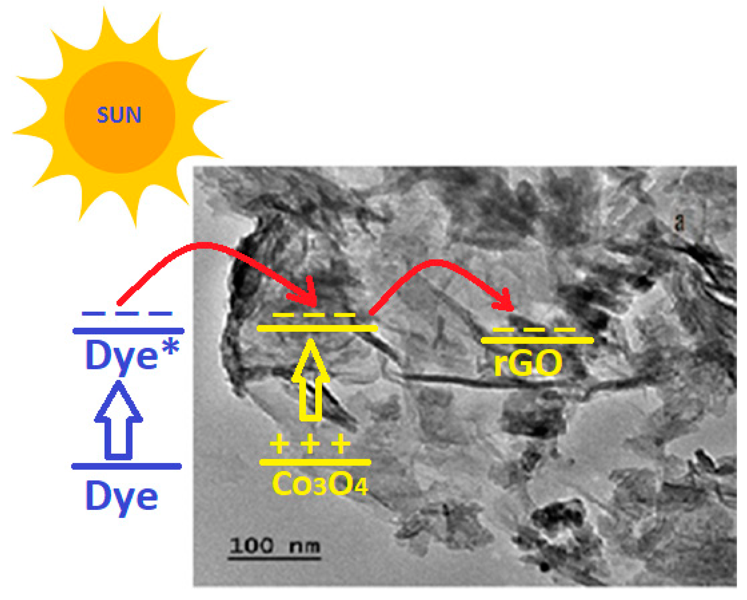 Catalysts 14 00096 g008 Catalysts 14 00096 g008