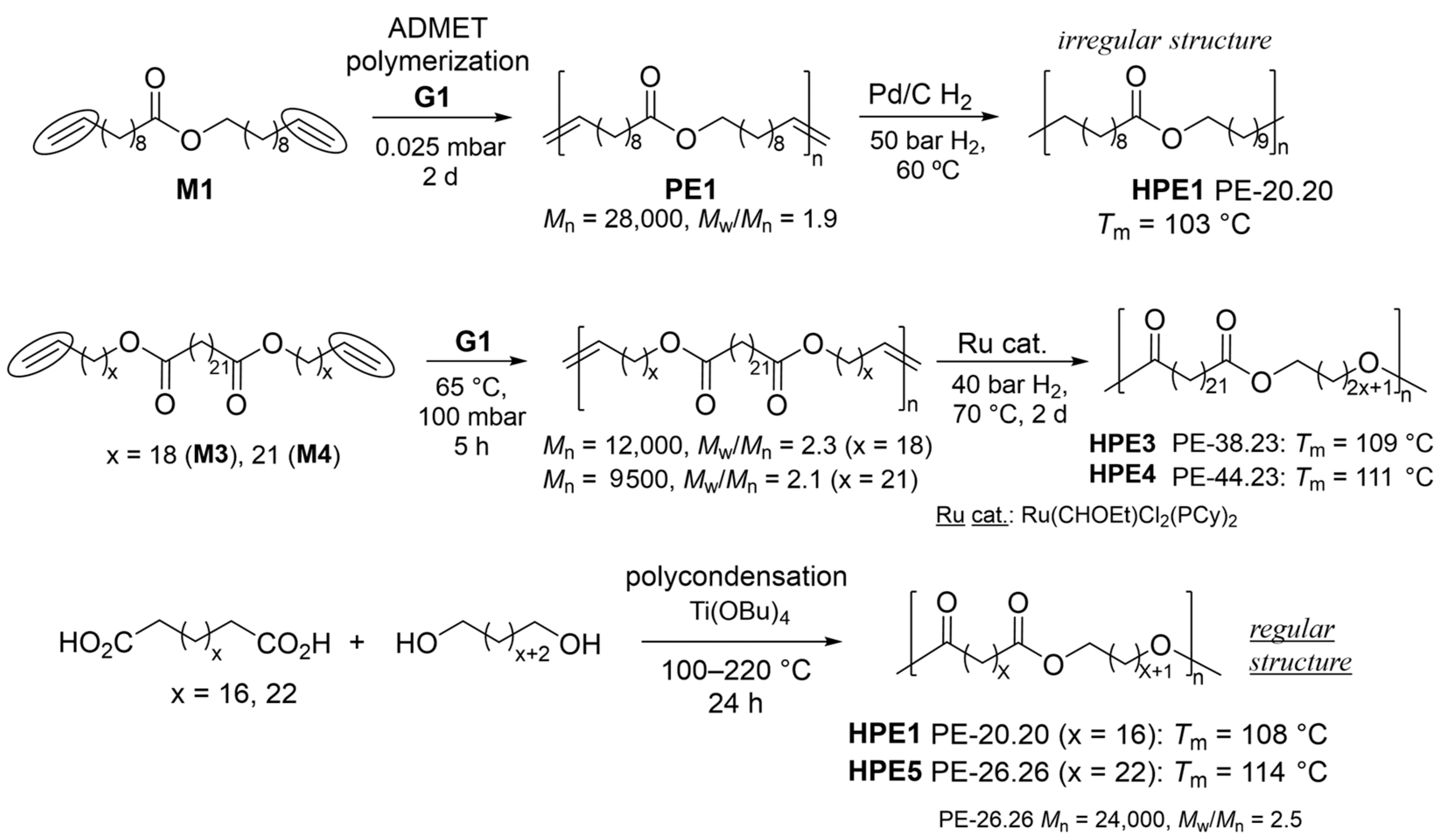 Catalysts 14 00097 sch004