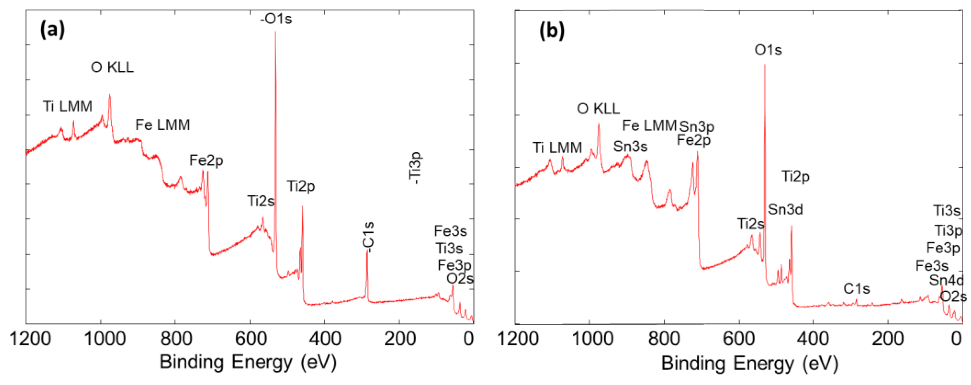 Catalysts 14 00098 g002