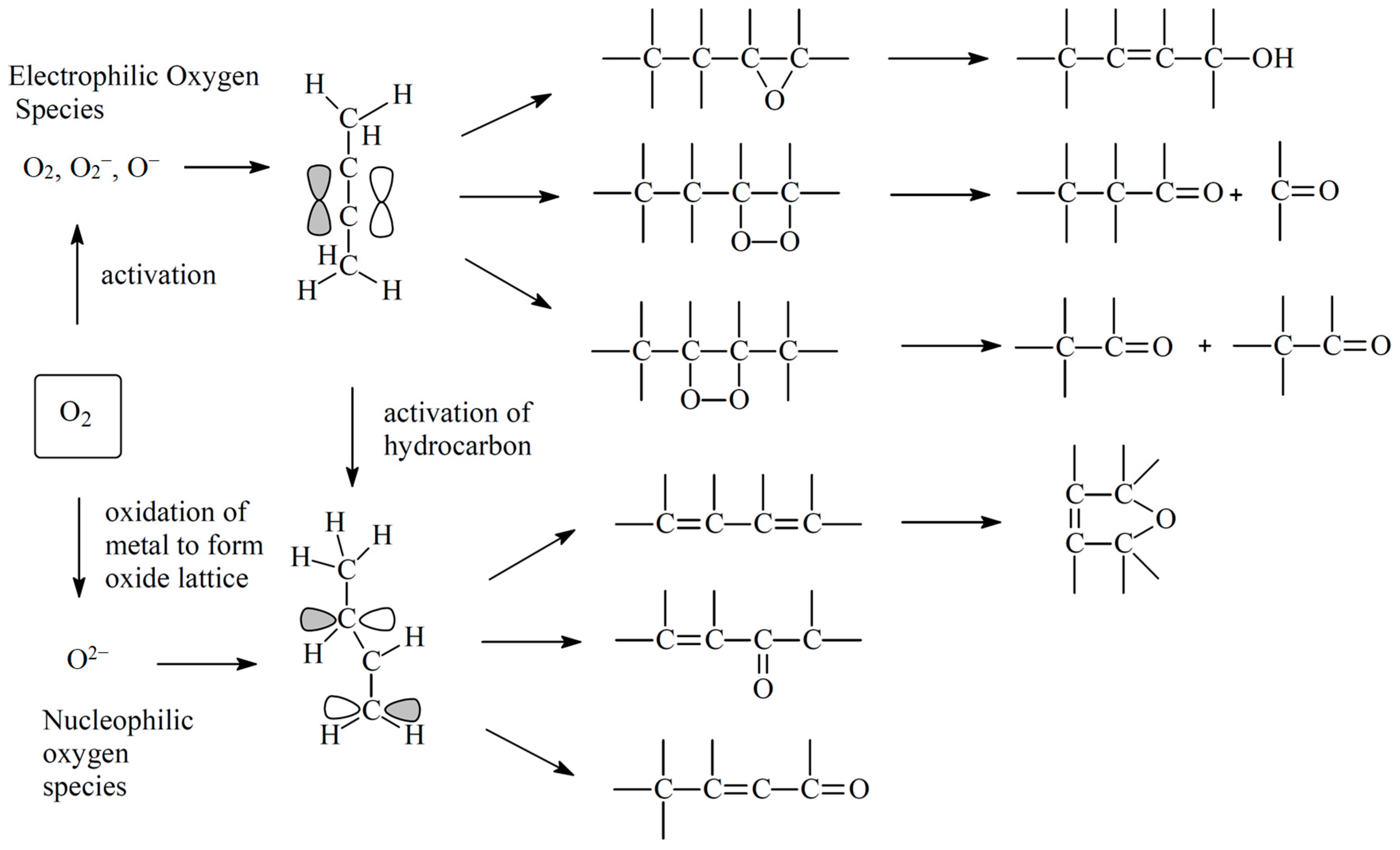 Catalysts 14 00100 g001 Catalysts 14 00100 g001