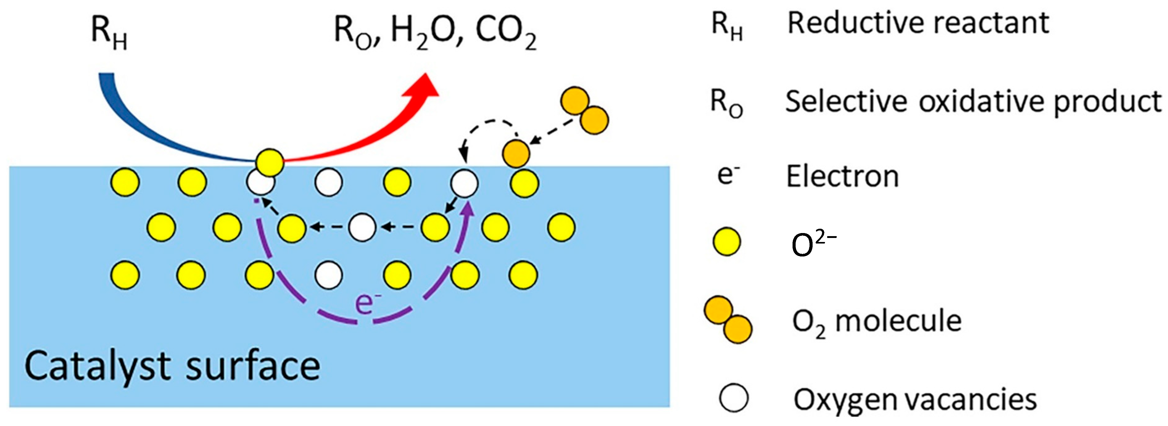 Catalysts 14 00100 g003 Catalysts 14 00100 g003