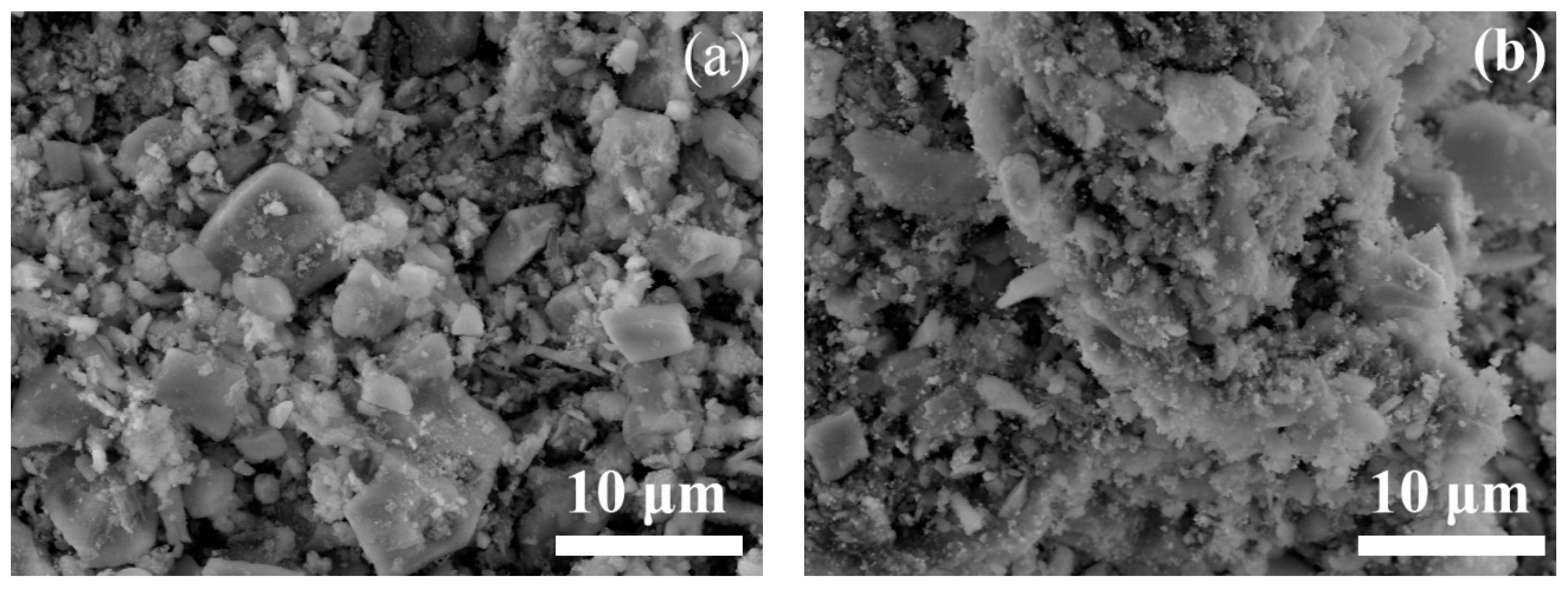 Catalysts 14 00103 g004a