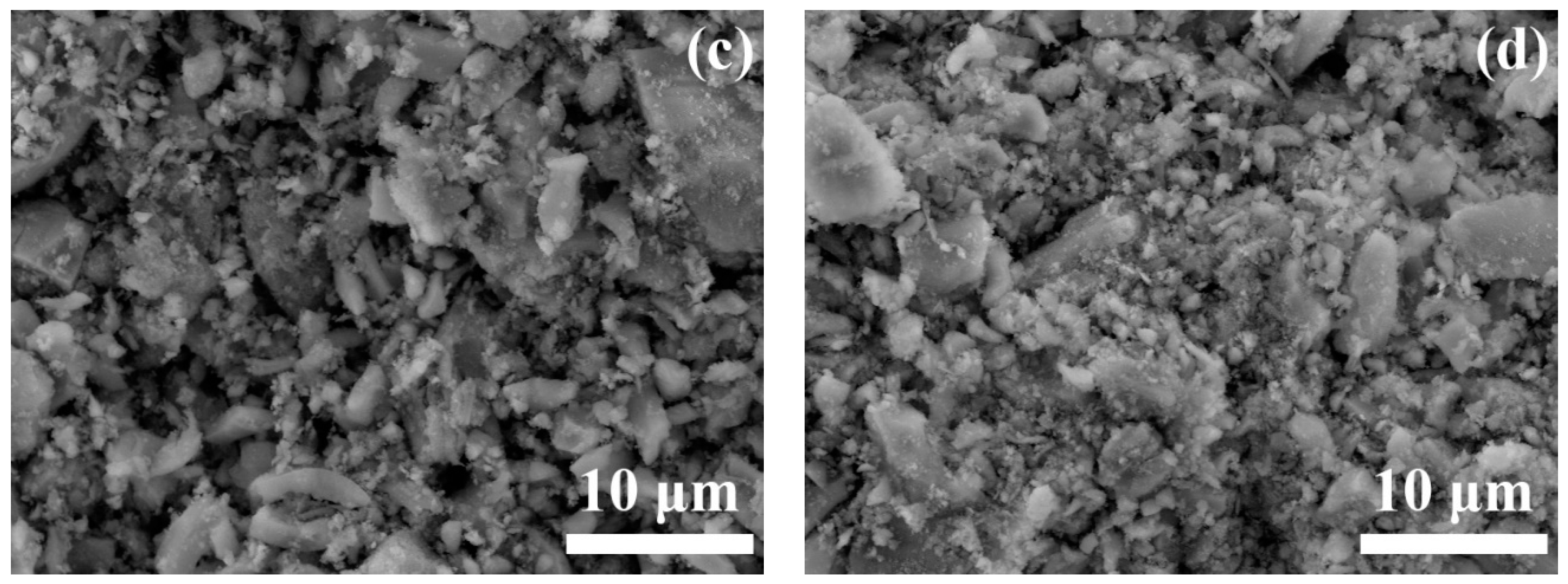 Catalysts 14 00103 g004b