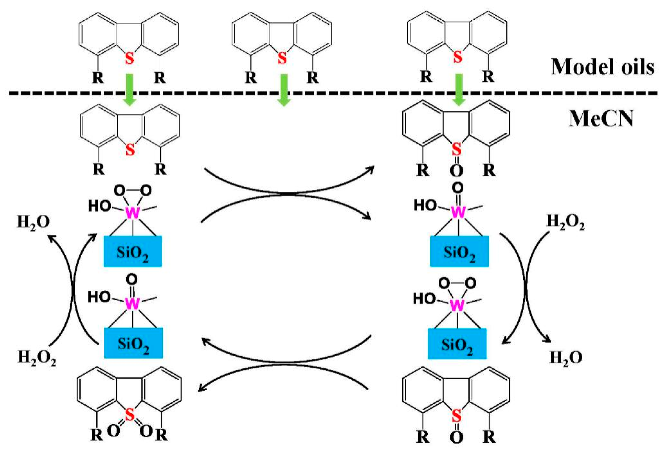 Catalysts 14 00103 sch001