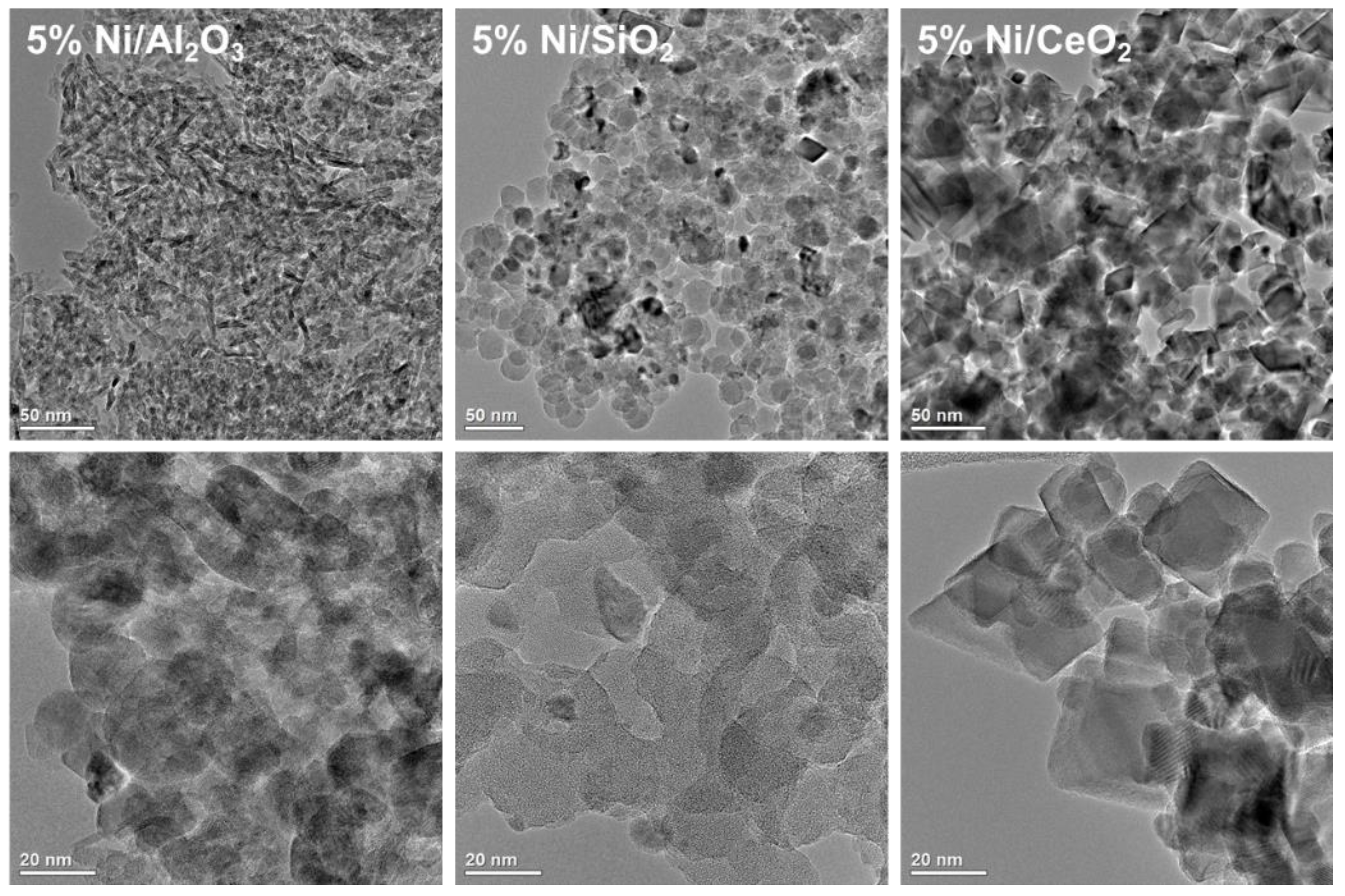 Catalysts 14 00104 g002