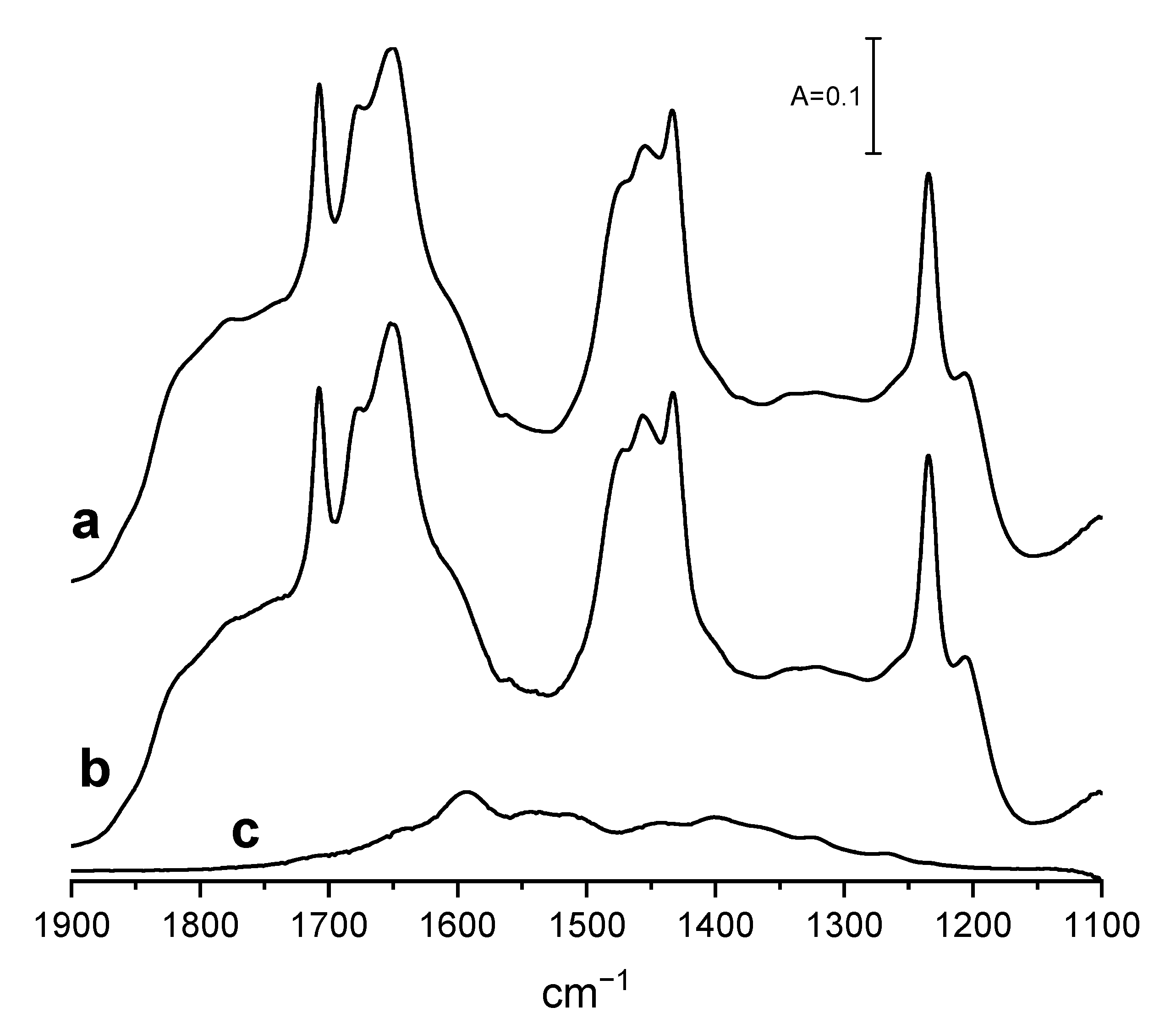 Catalysts 14 00106 g005