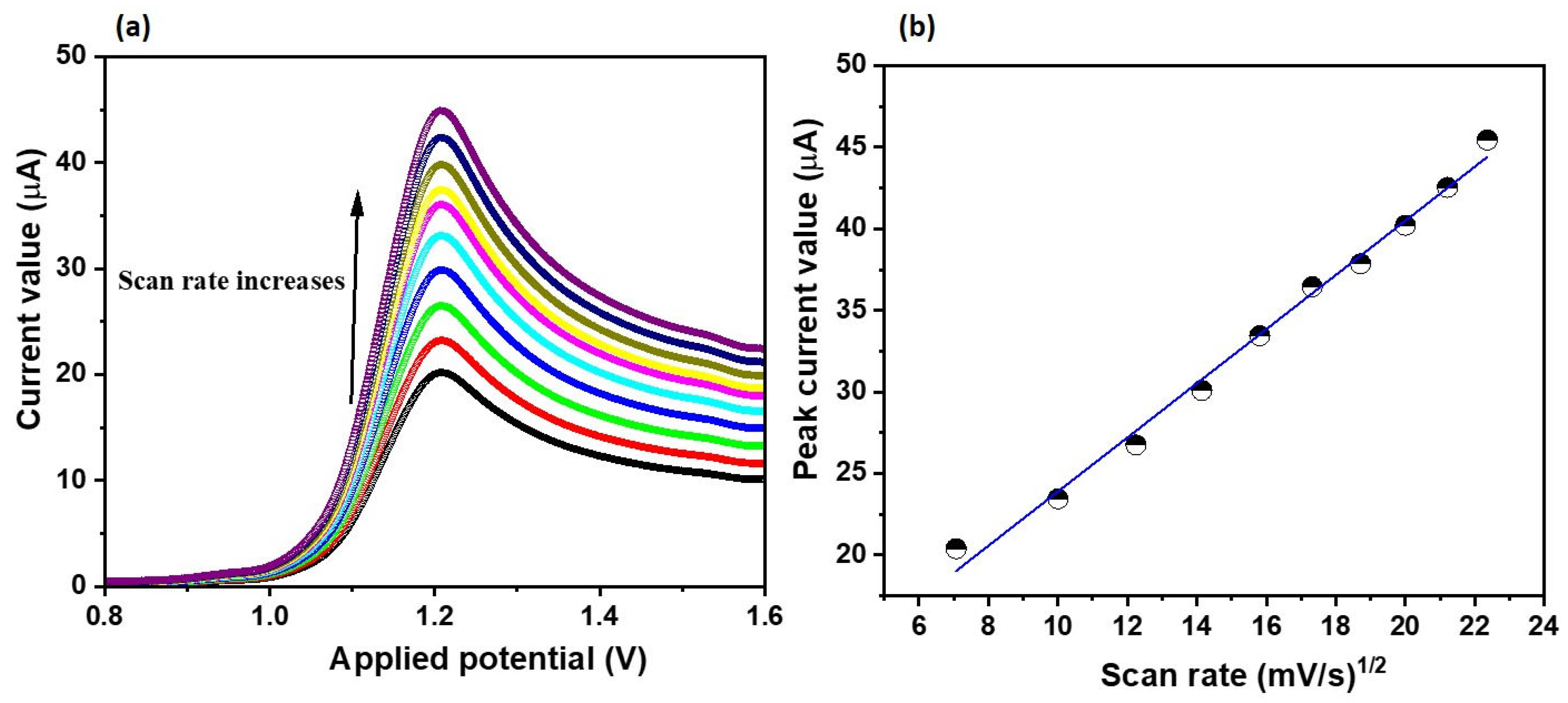 Catalysts 14 00107 g007