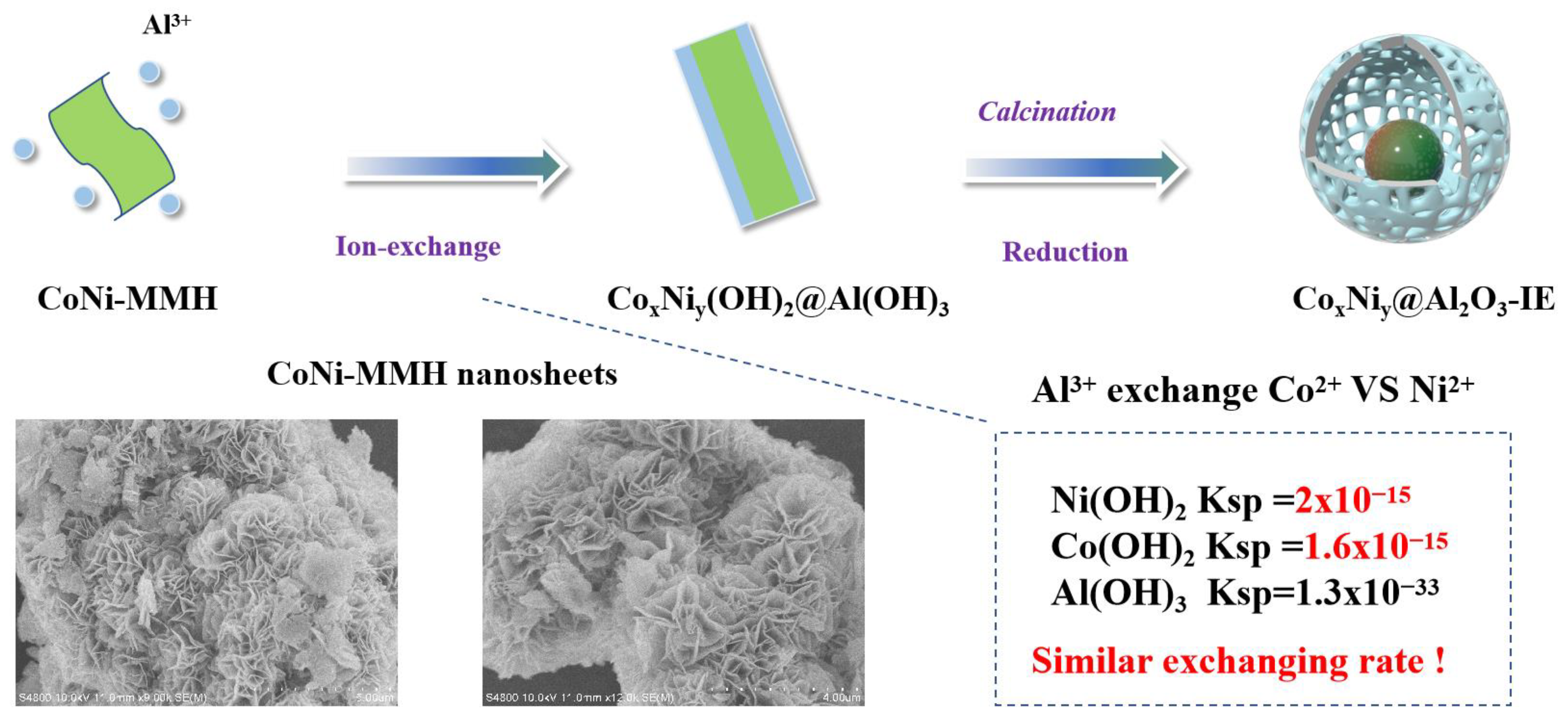 Catalysts 14 00113 sch001