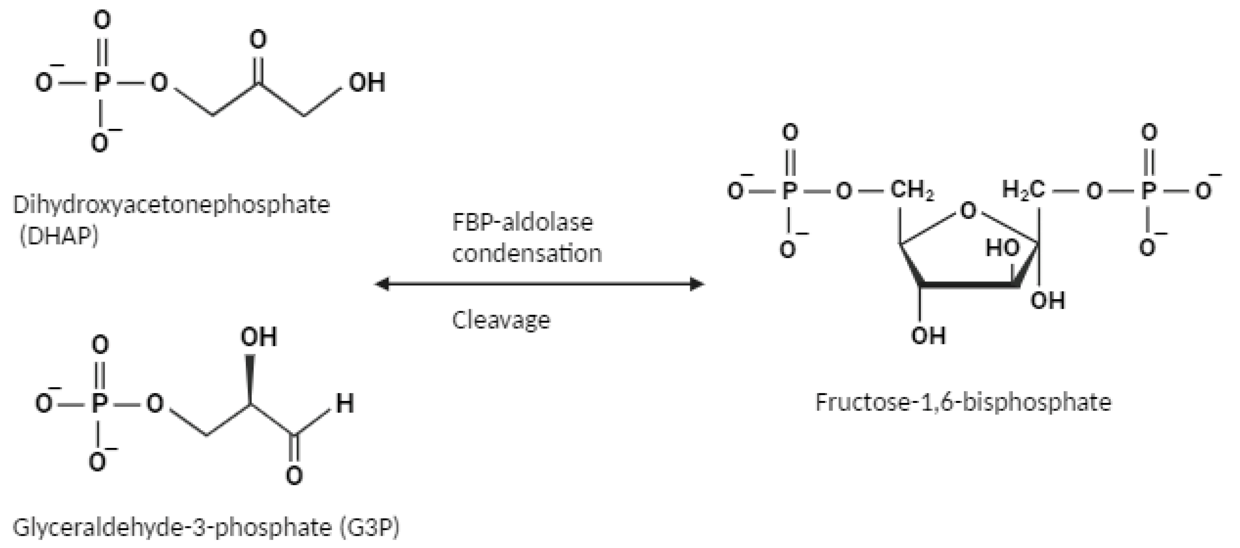 Catalysts 14 00114 g001 Catalysts 14 00114 g001