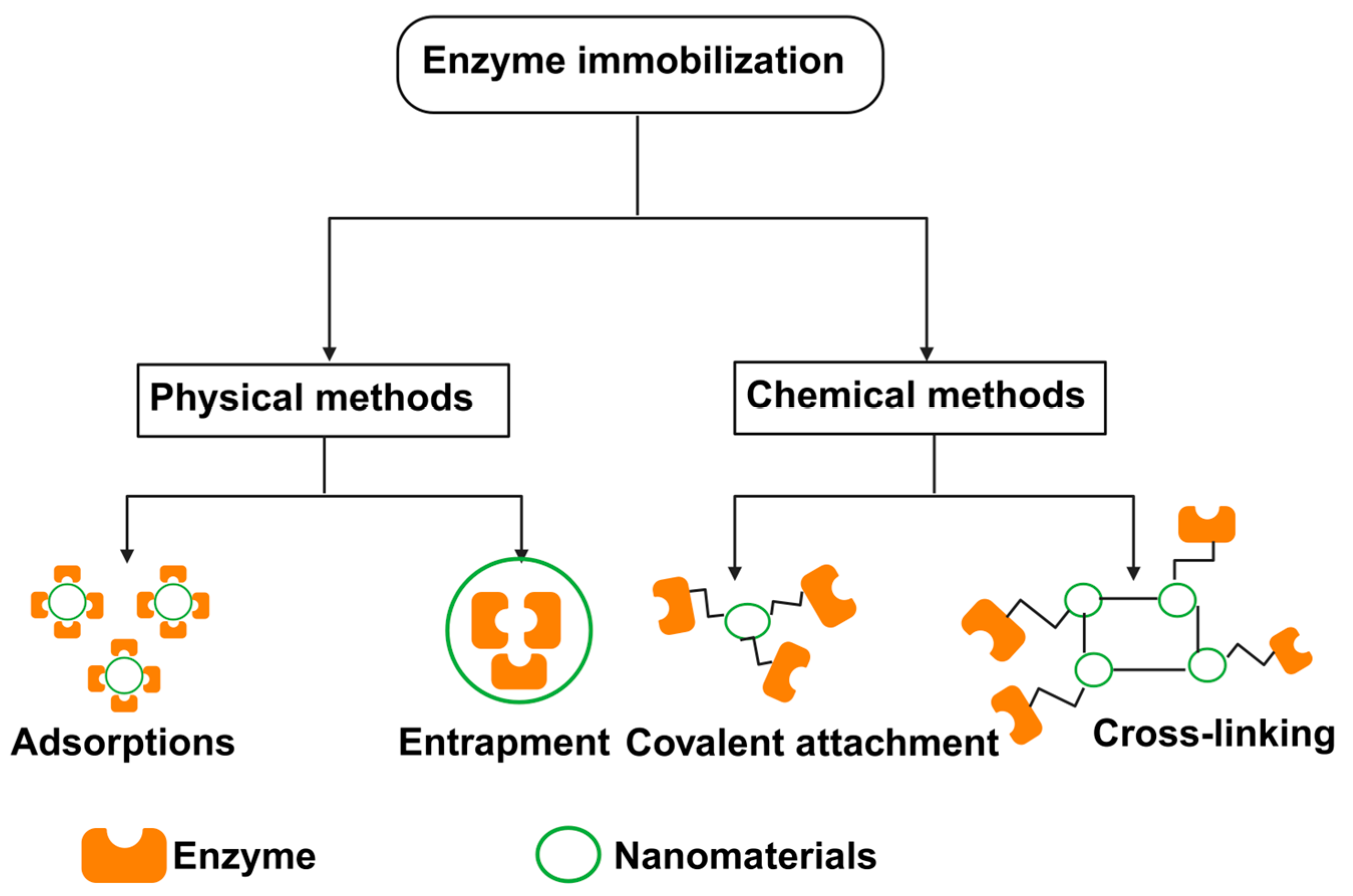 Catalysts 14 00114 g003 Catalysts 14 00114 g003