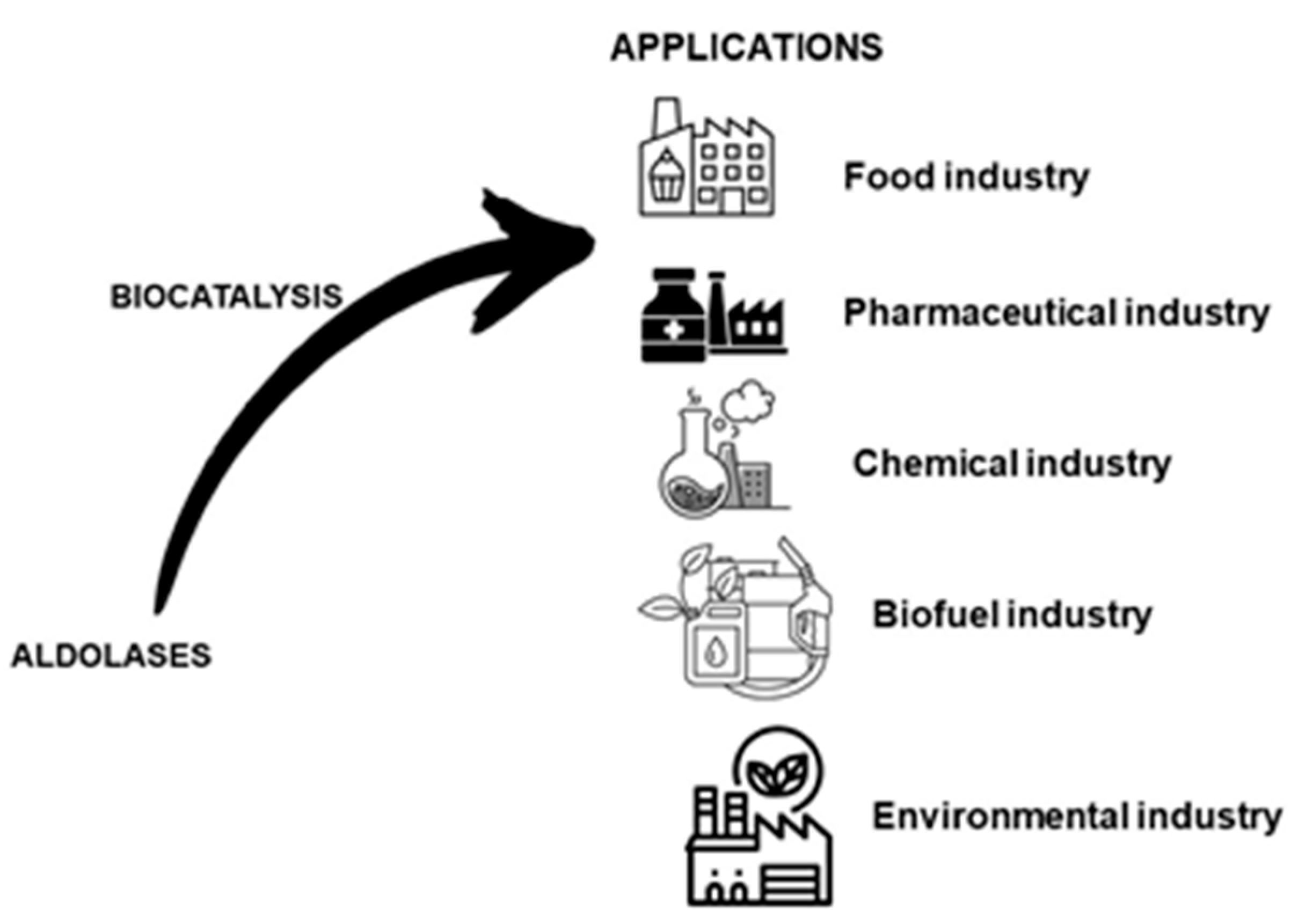 Catalysts 14 00114 g005 Catalysts 14 00114 g005