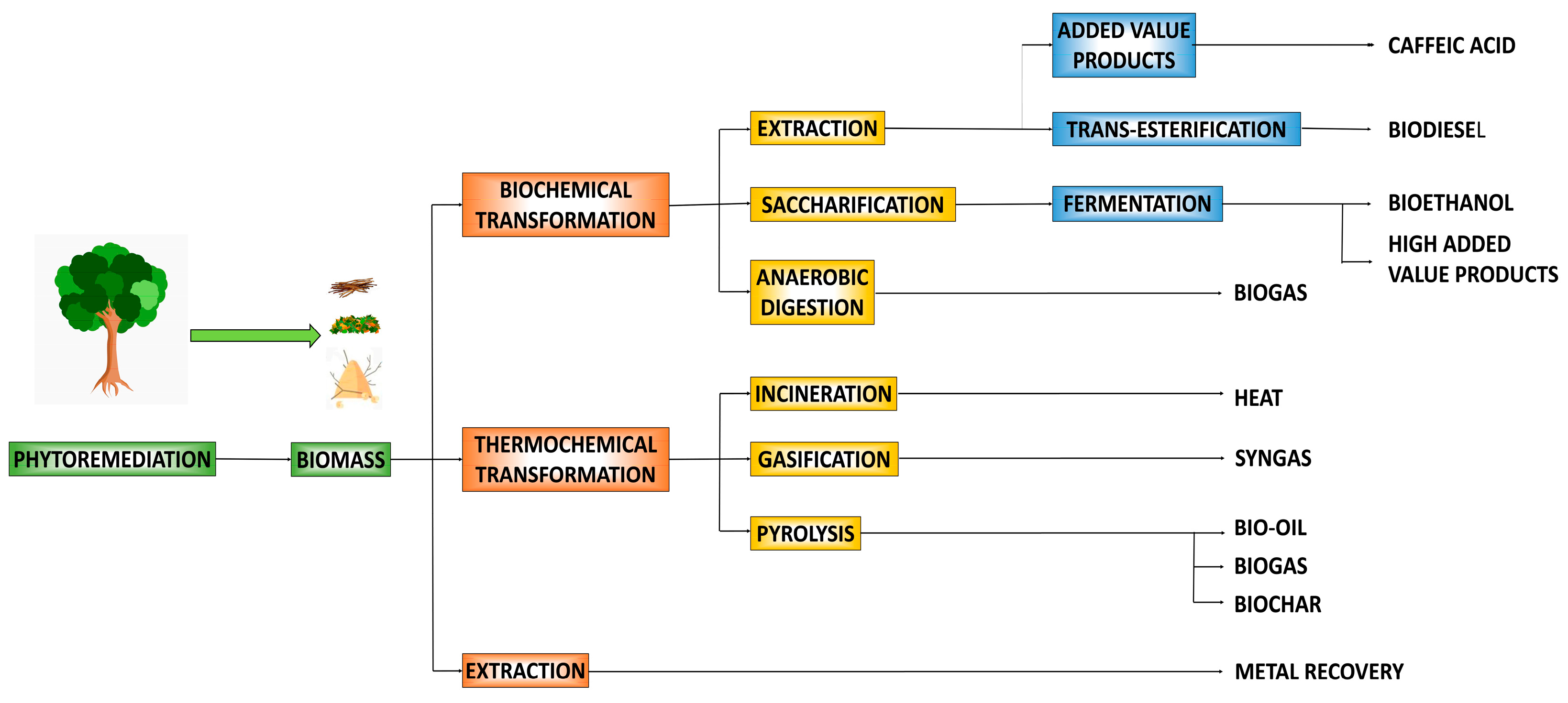 Catalysts 14 00118 g003