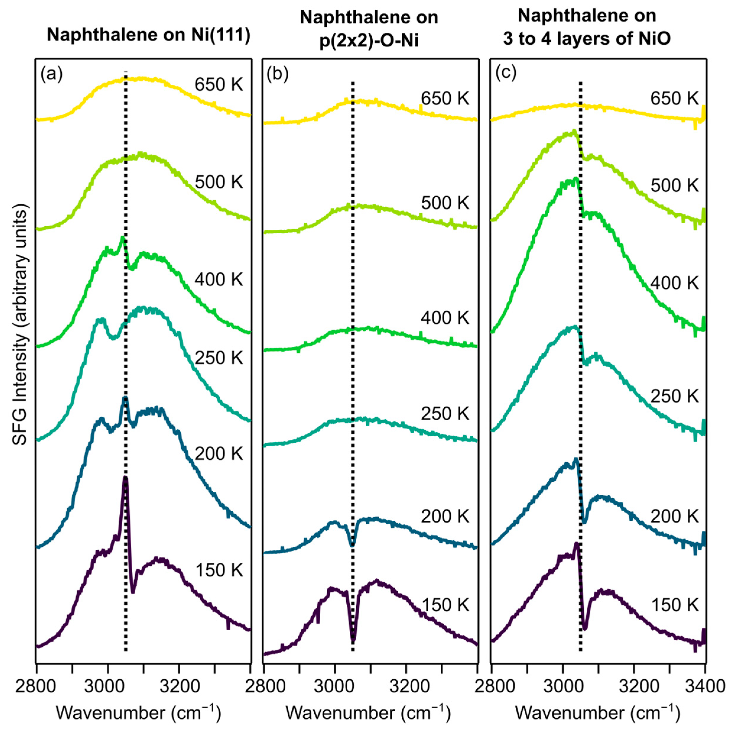 Catalysts 14 00124 g003