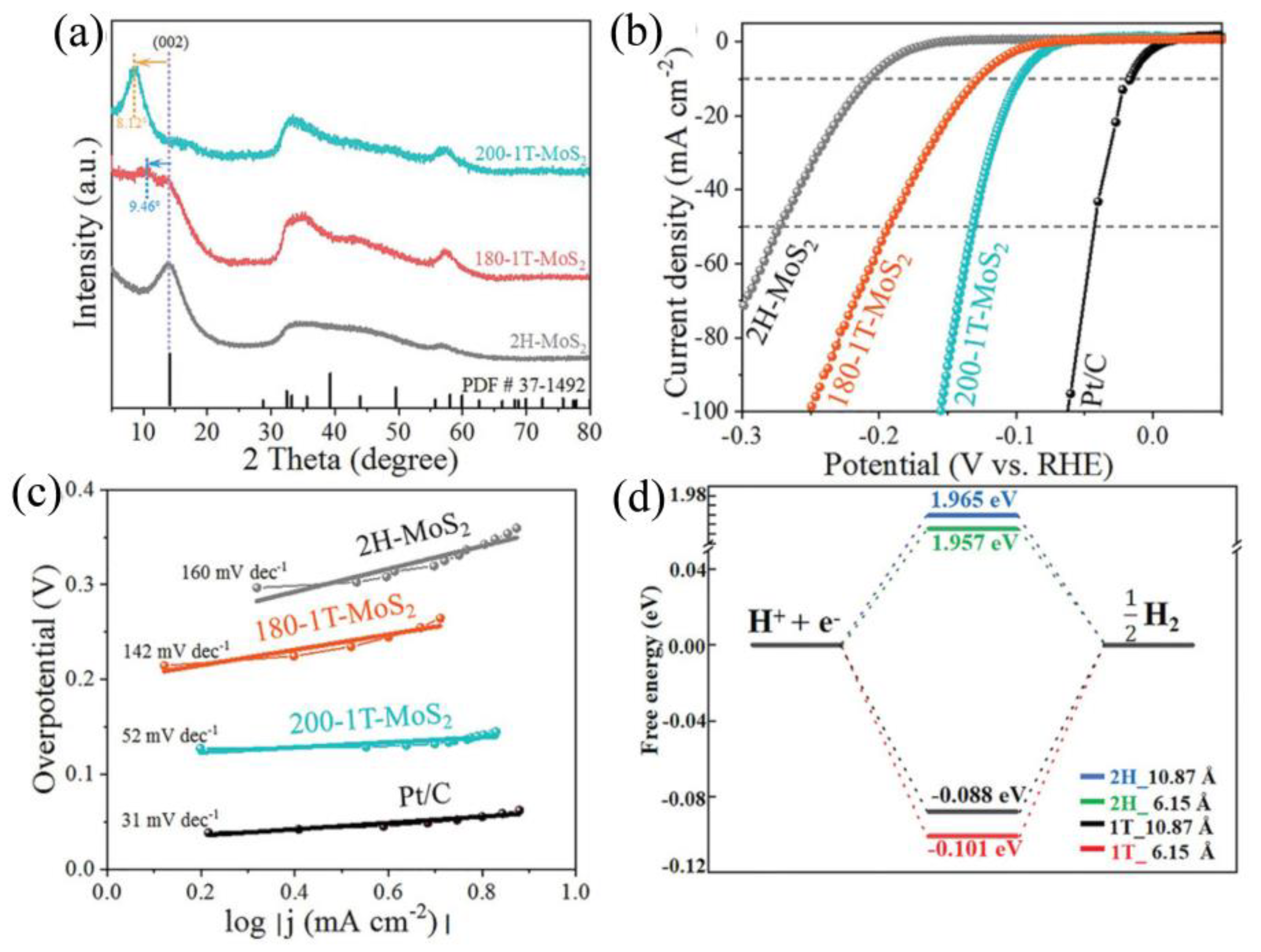 Catalysts 14 00126 g001
