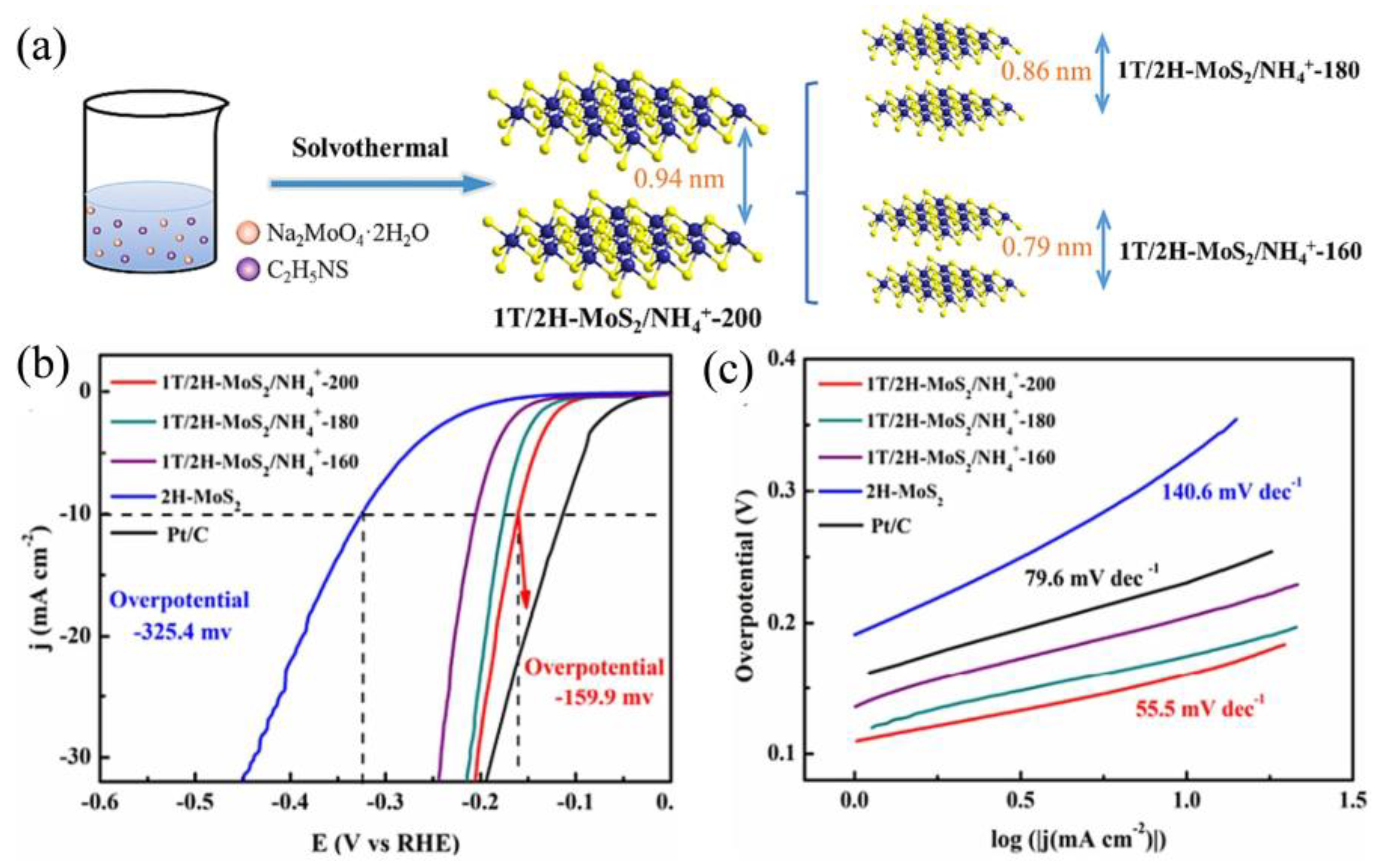 Catalysts 14 00126 g002
