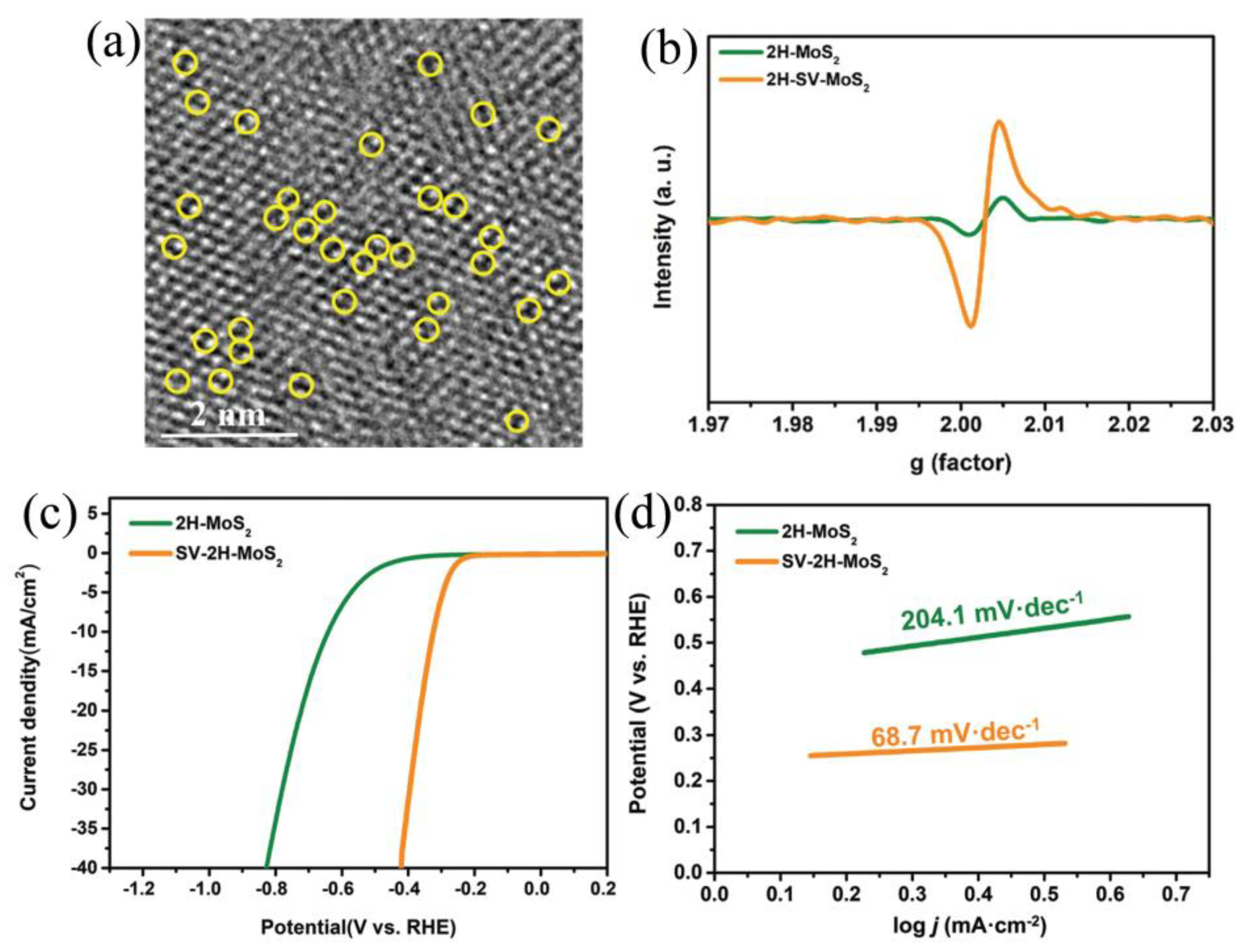 Catalysts 14 00126 g003