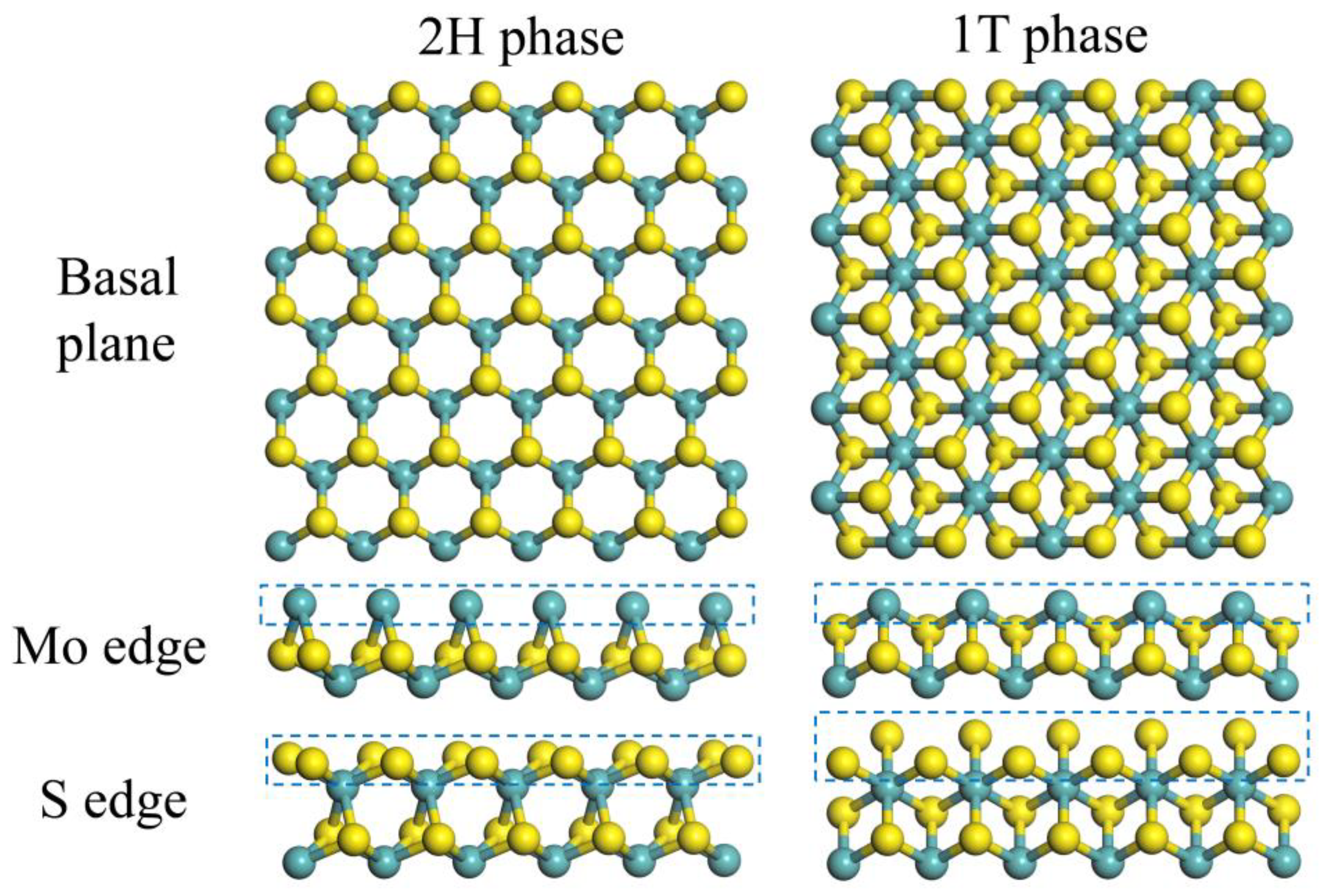 Catalysts 14 00126 g005