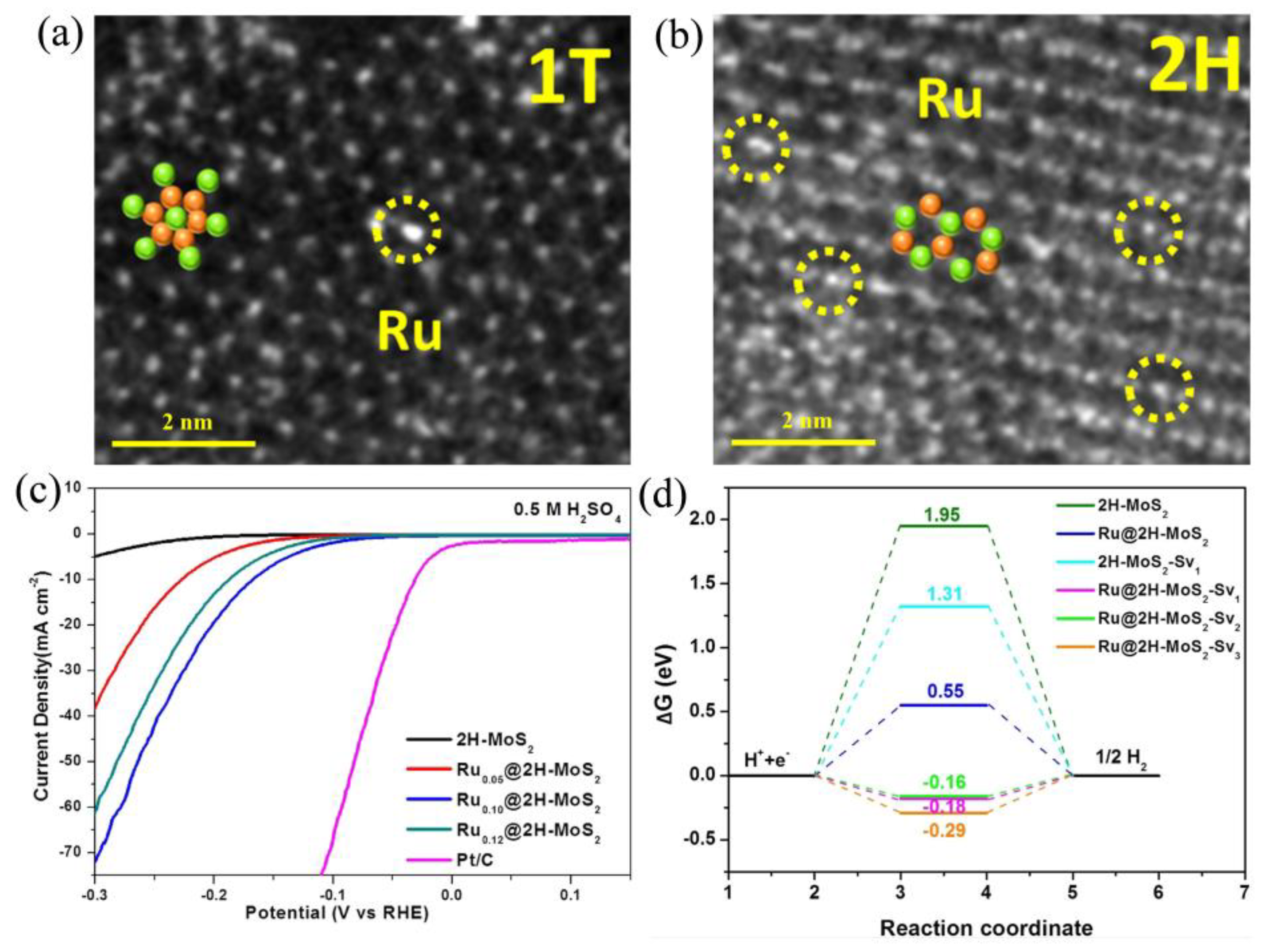 Catalysts 14 00126 g010