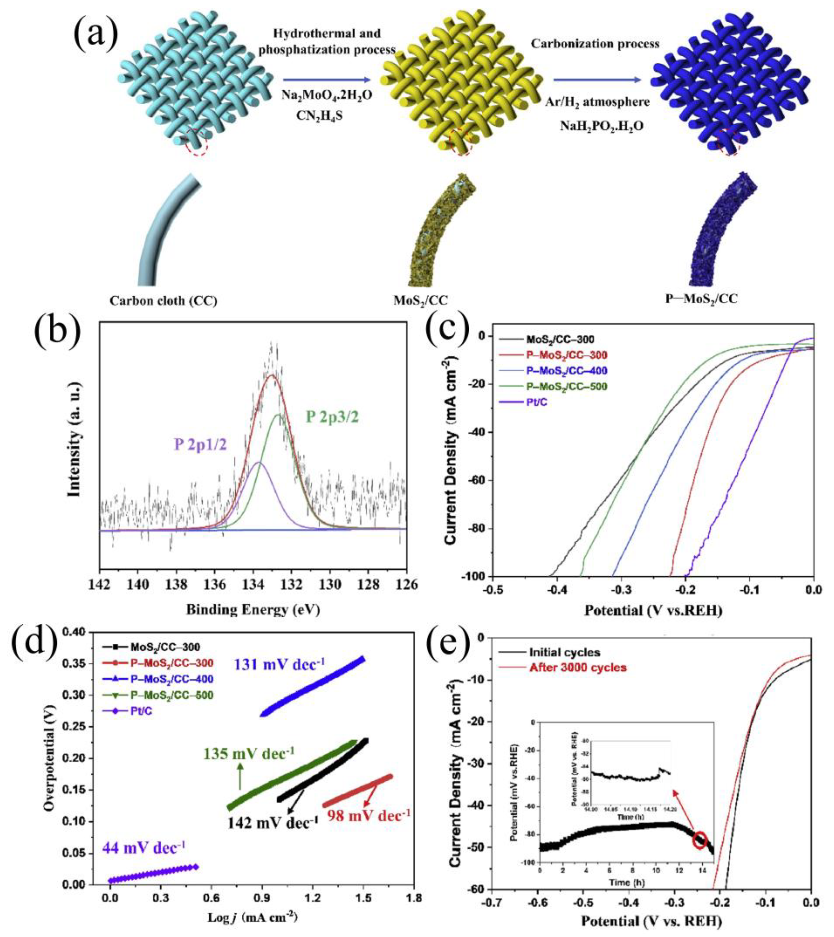 Catalysts 14 00126 g012