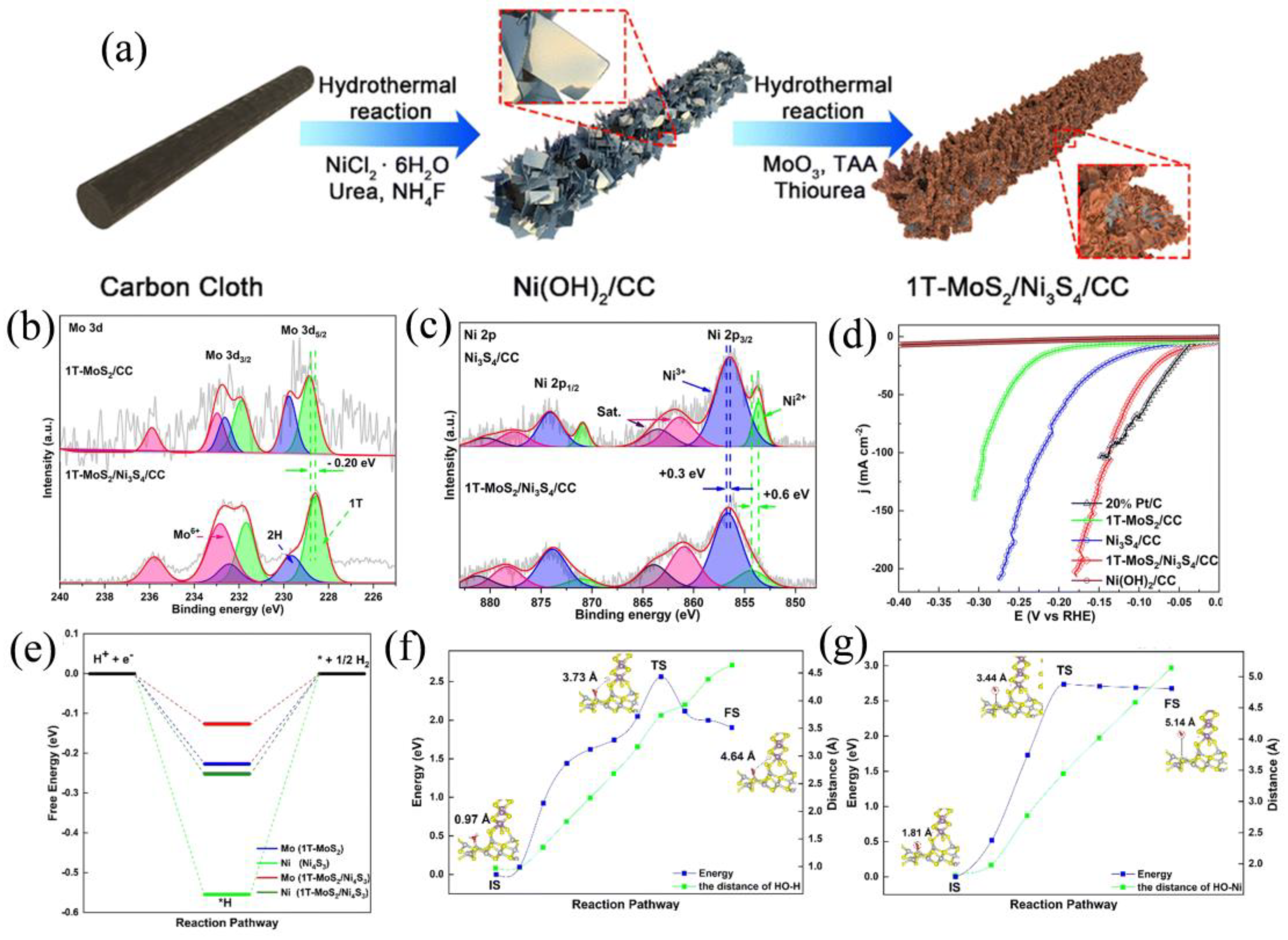 Catalysts 14 00126 g013