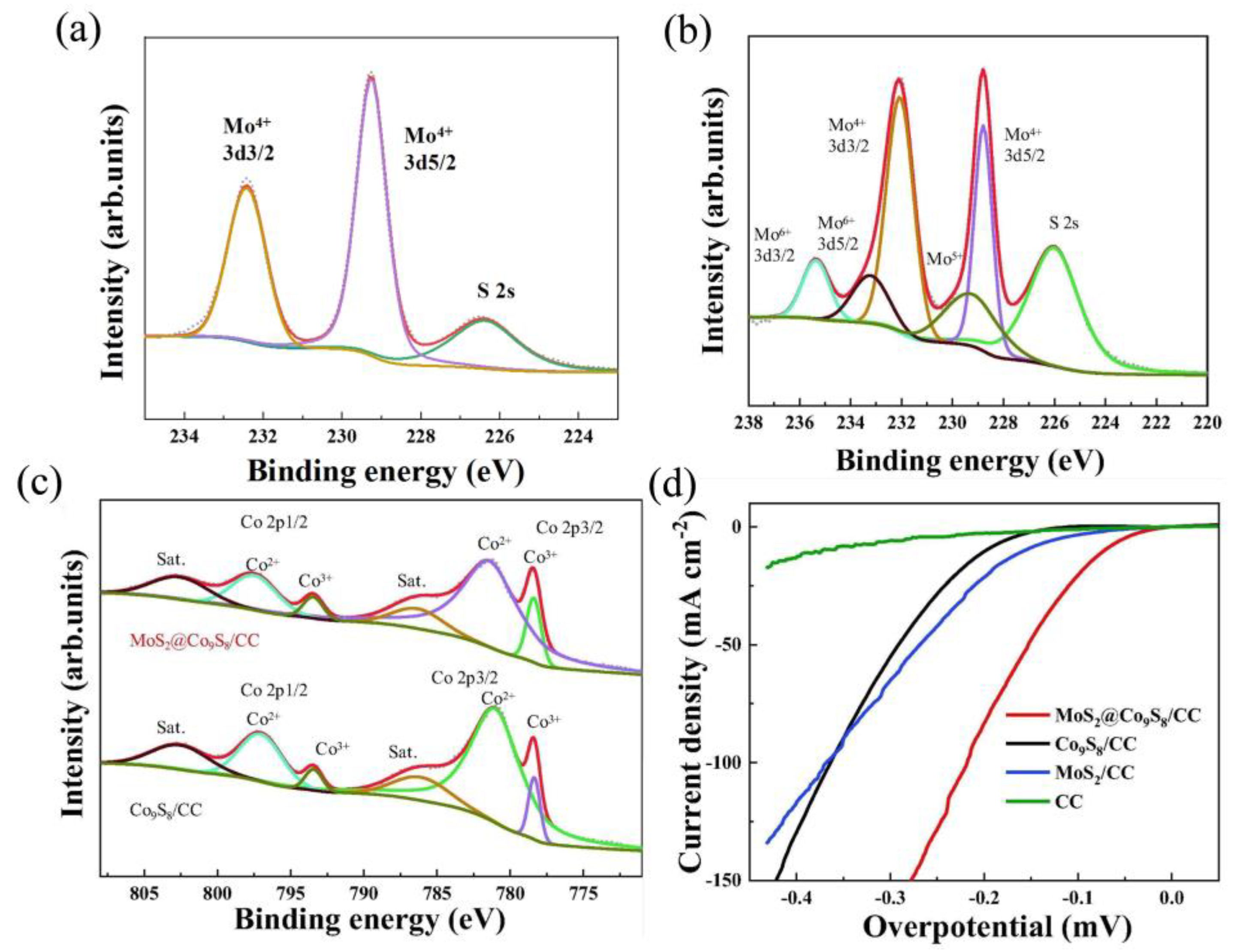 Catalysts 14 00126 g014