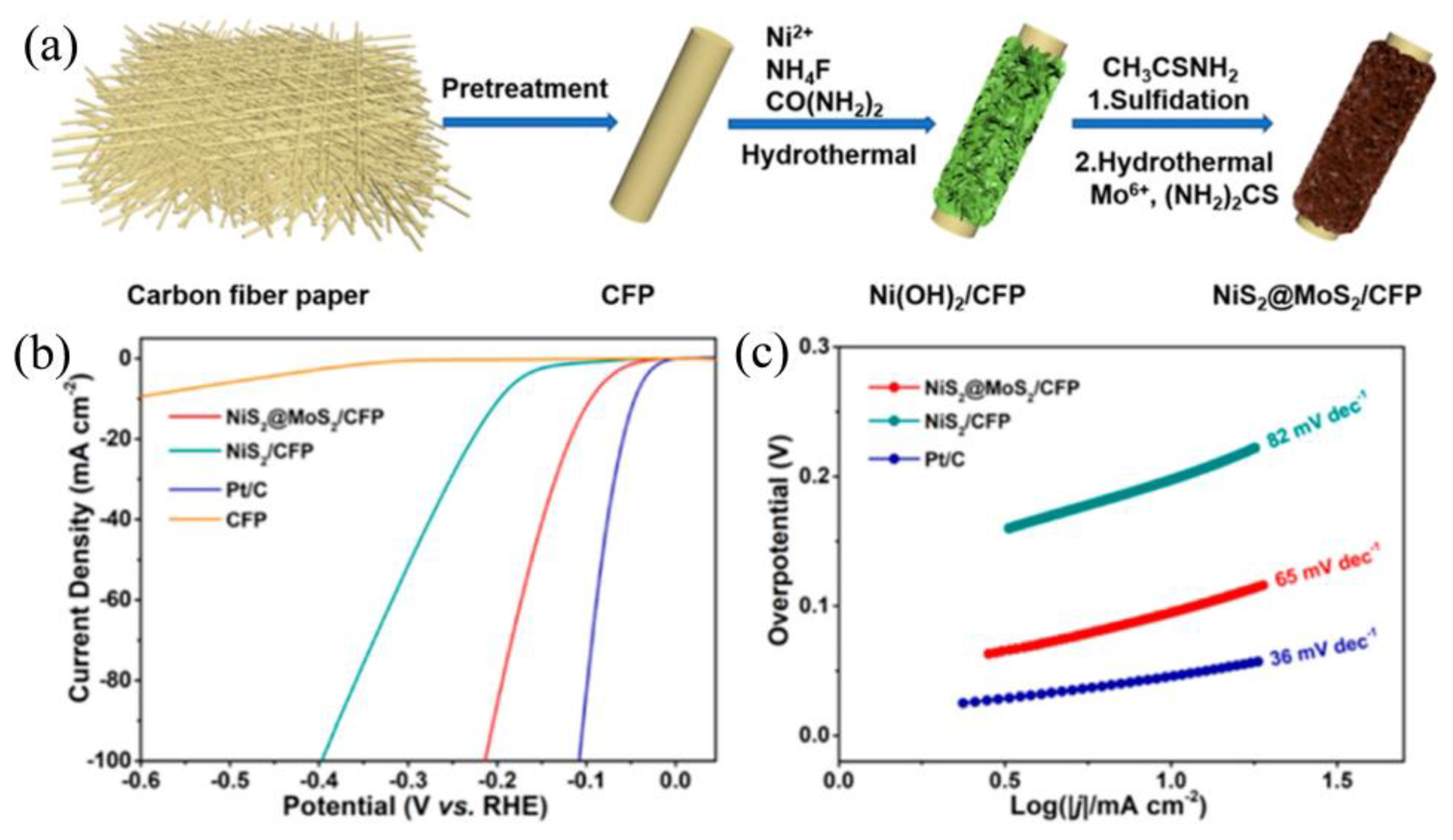 Catalysts 14 00126 g015