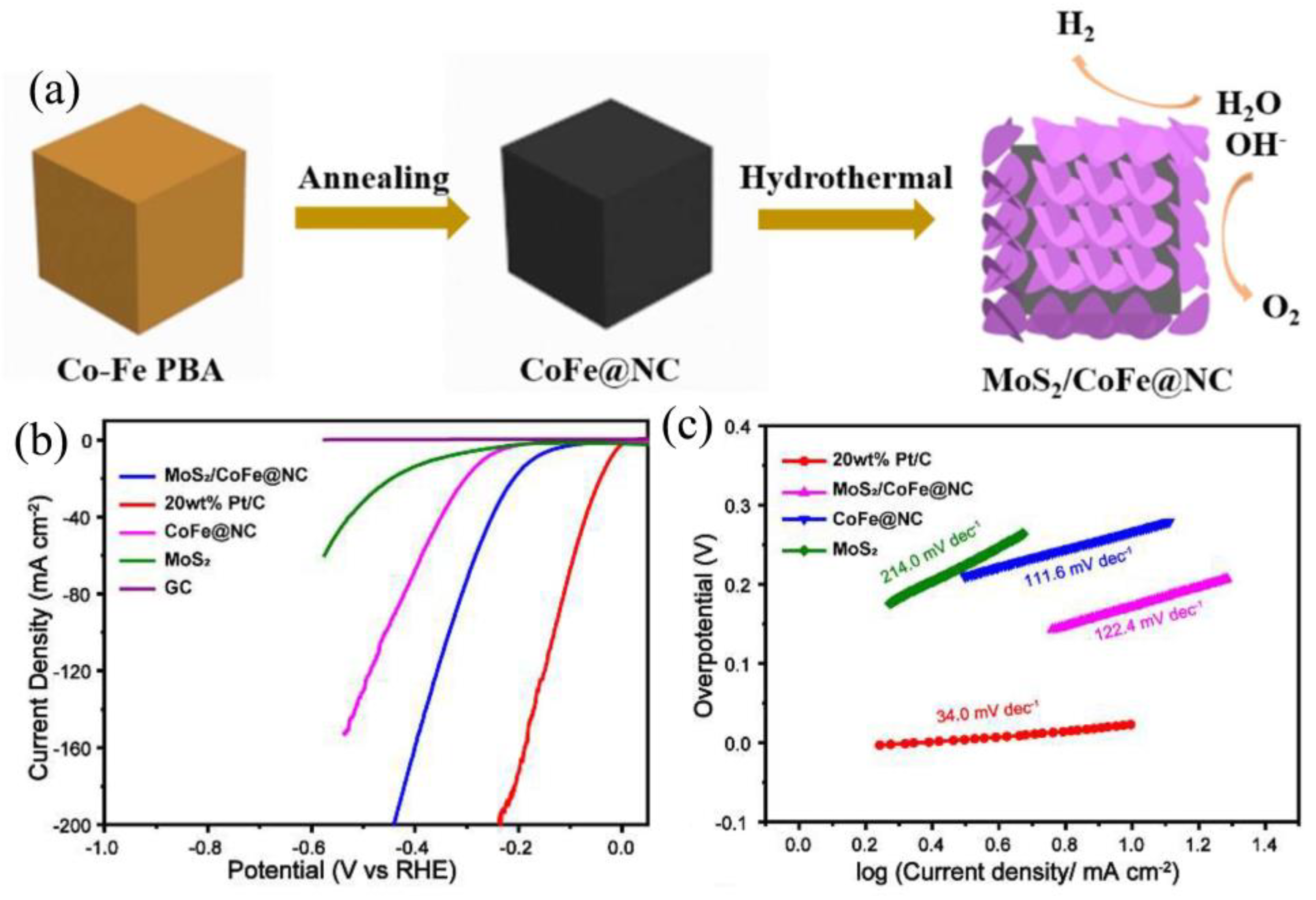 Catalysts 14 00126 g016