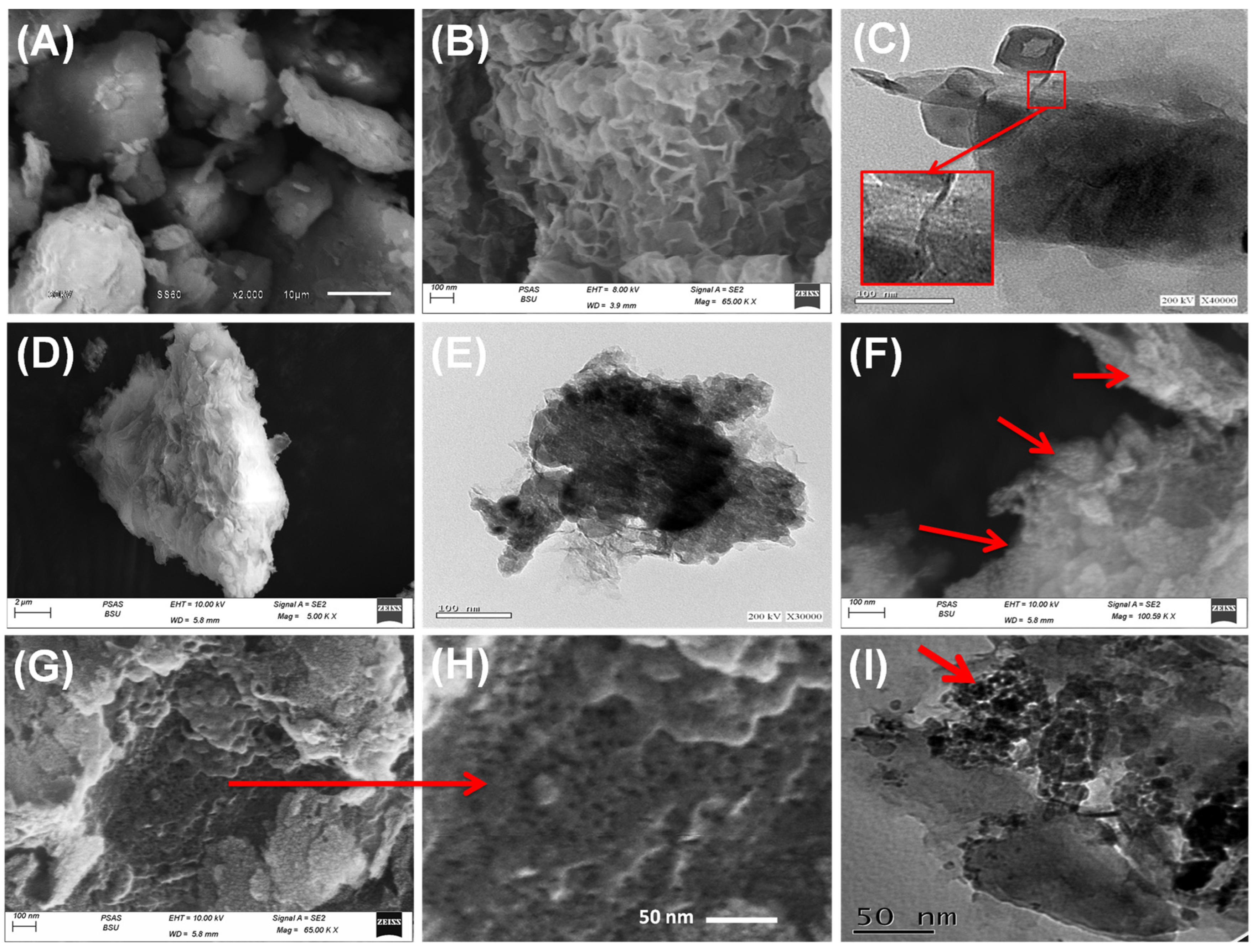 Catalysts 14 00129 g002