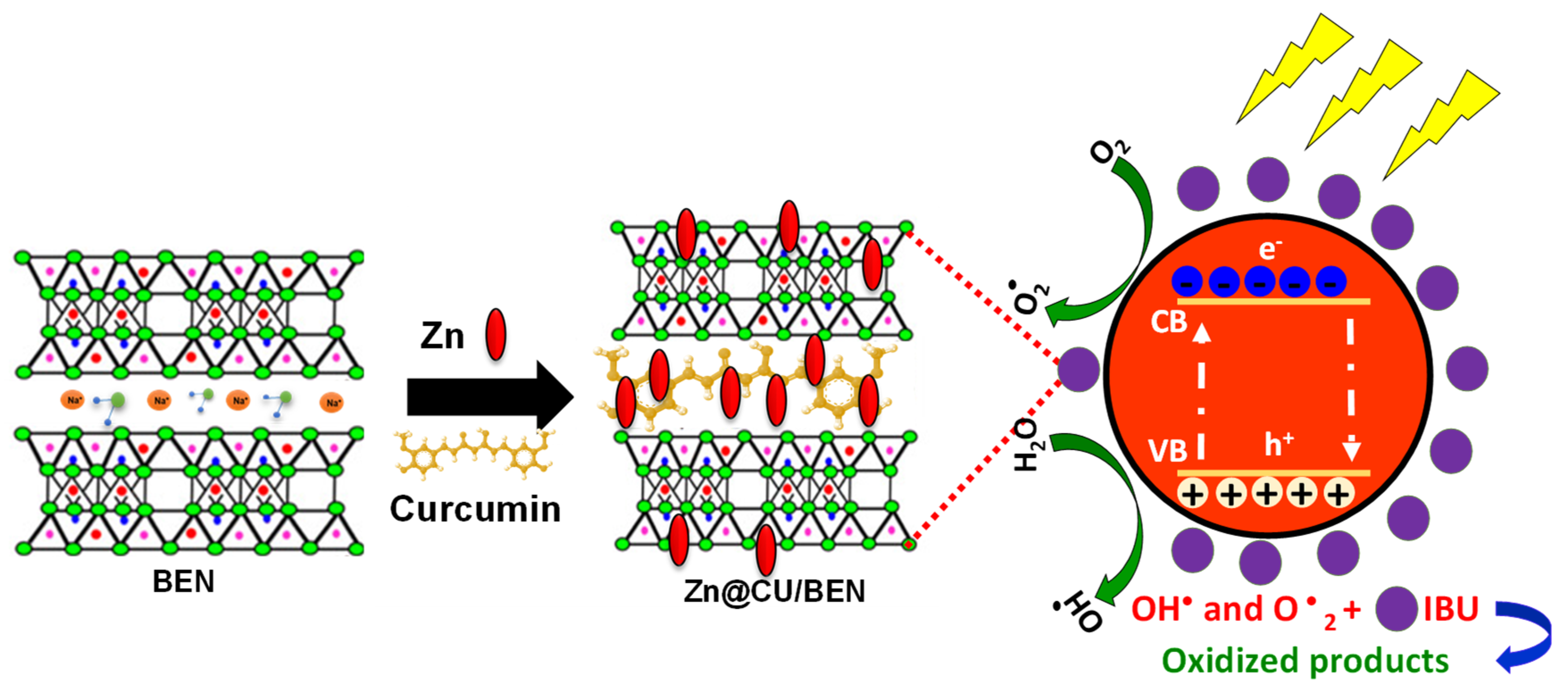 Catalysts 14 00129 g008