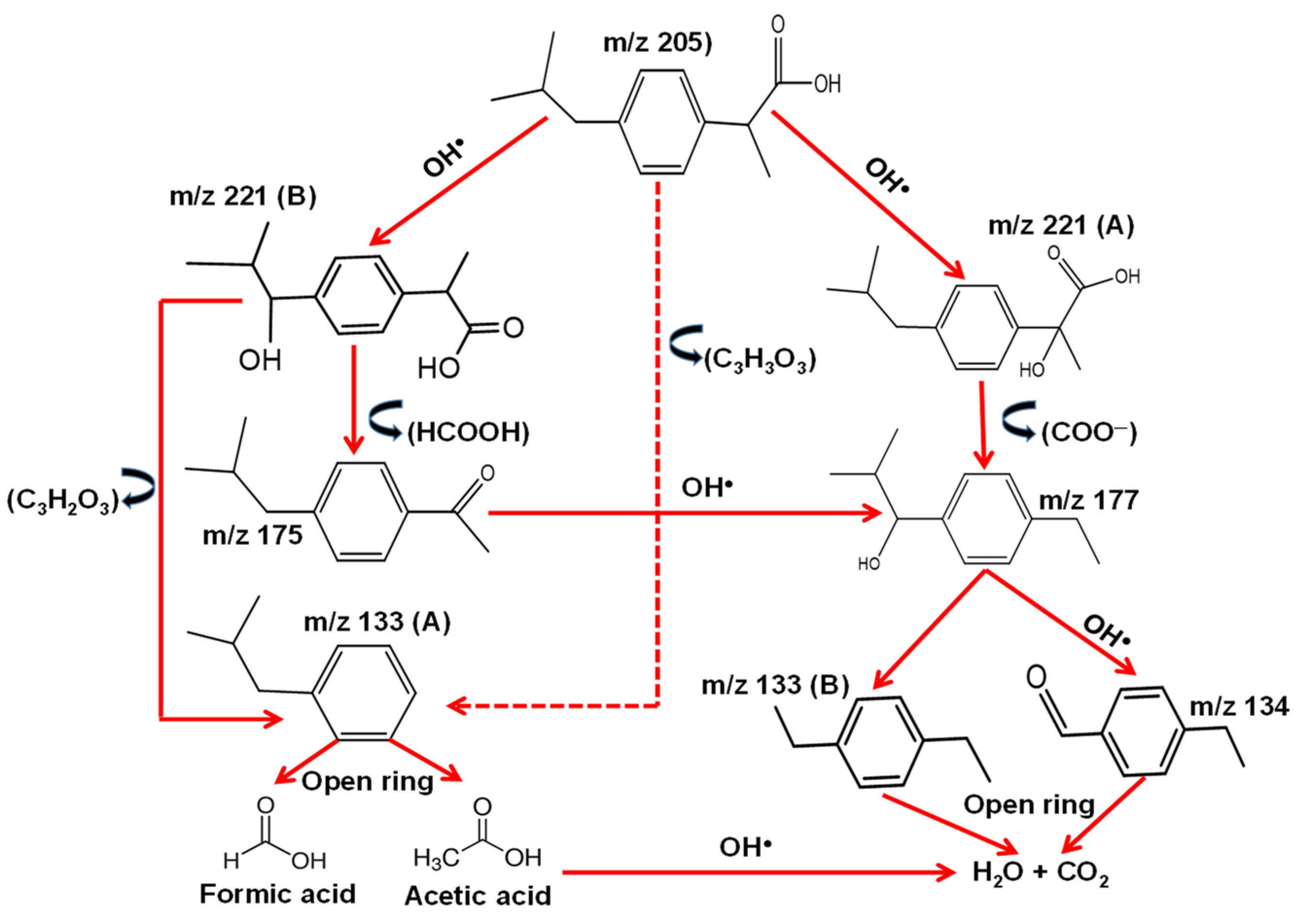 Catalysts 14 00129 g010
