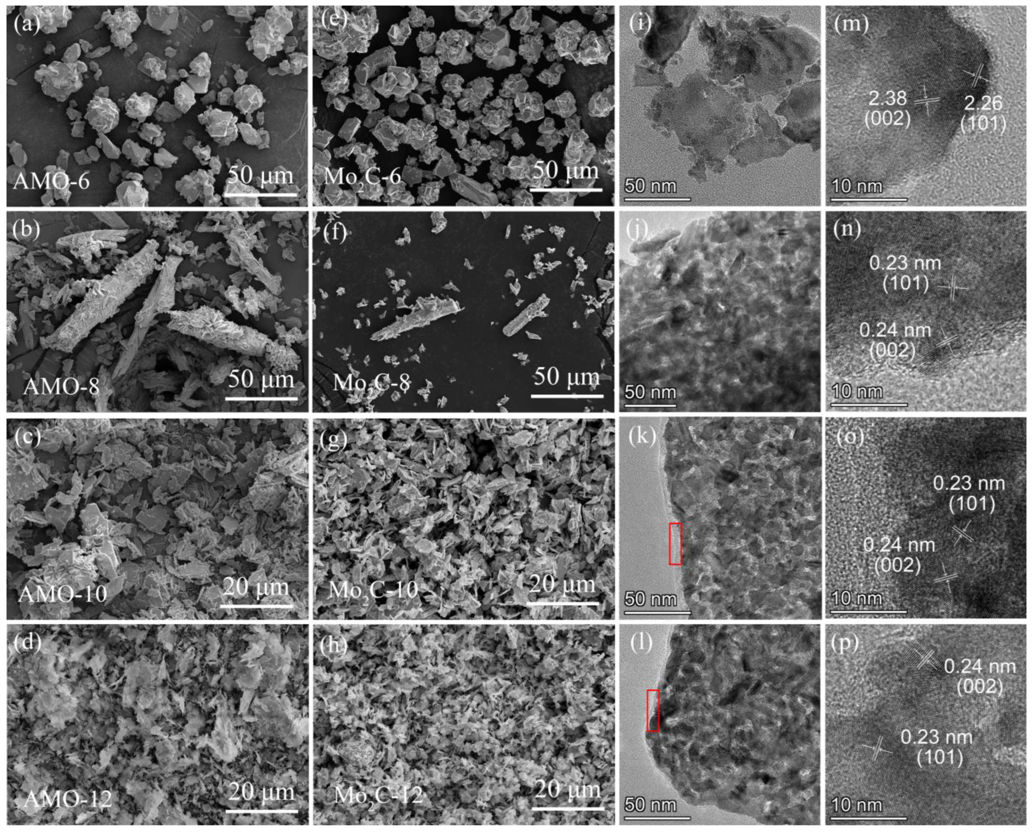 Catalysts 14 00138 g004