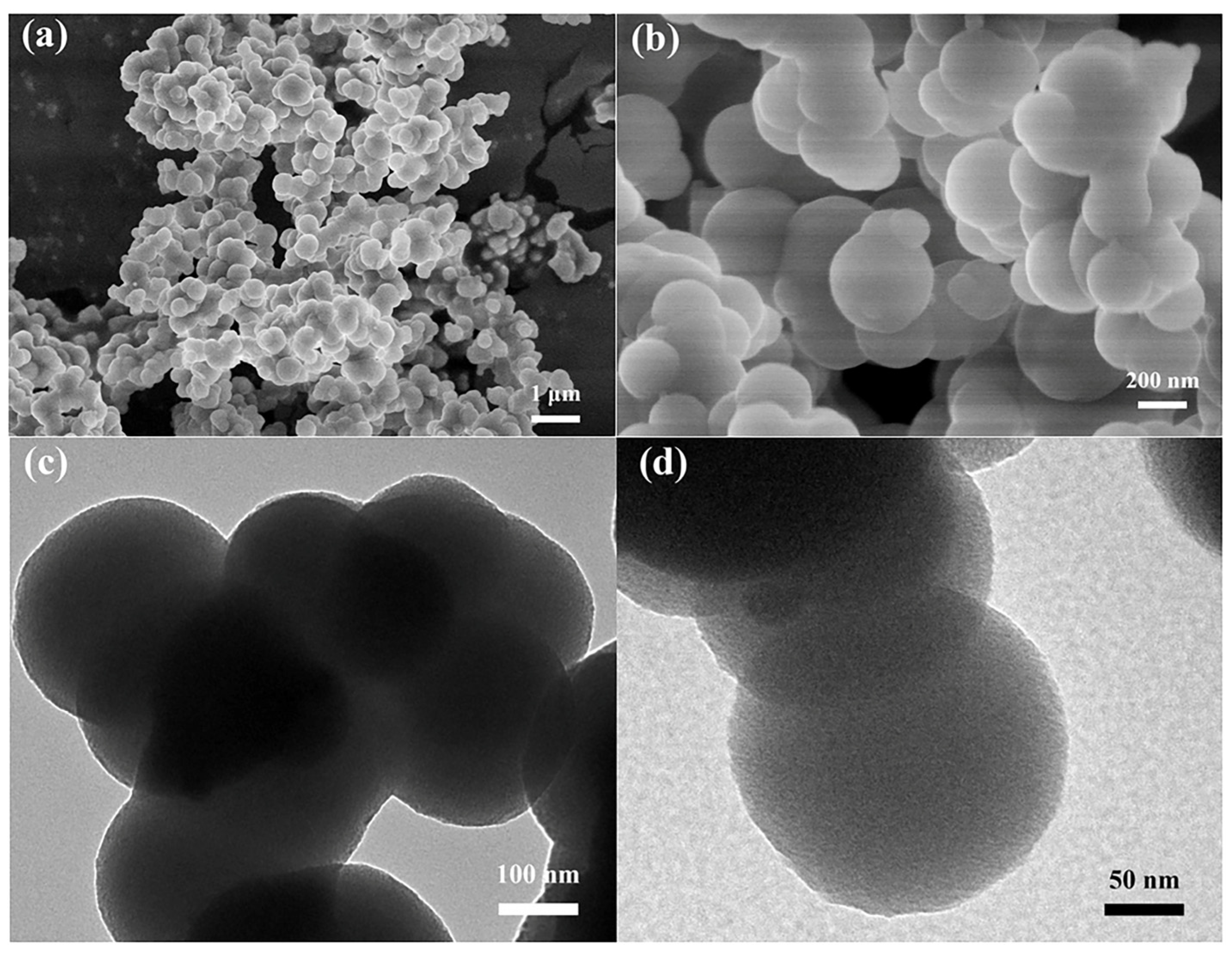 Catalysts 14 00142 g004