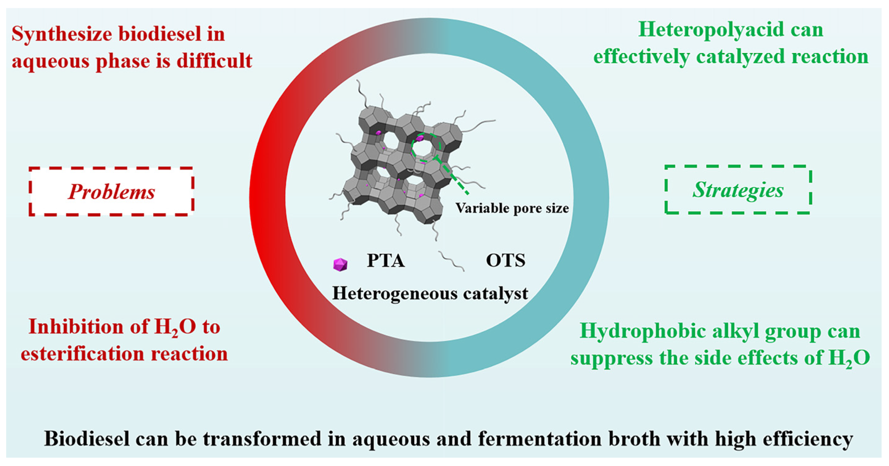 Catalysts 14 00142 sch001