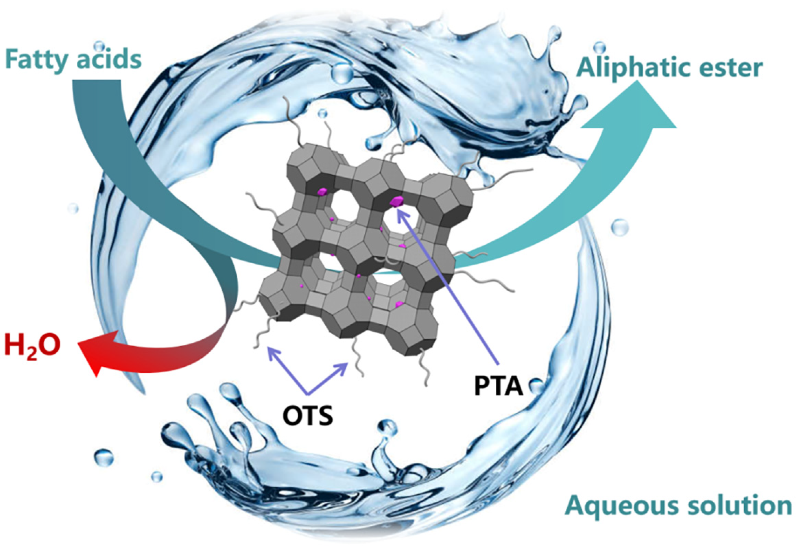 Catalysts 14 00142 sch002