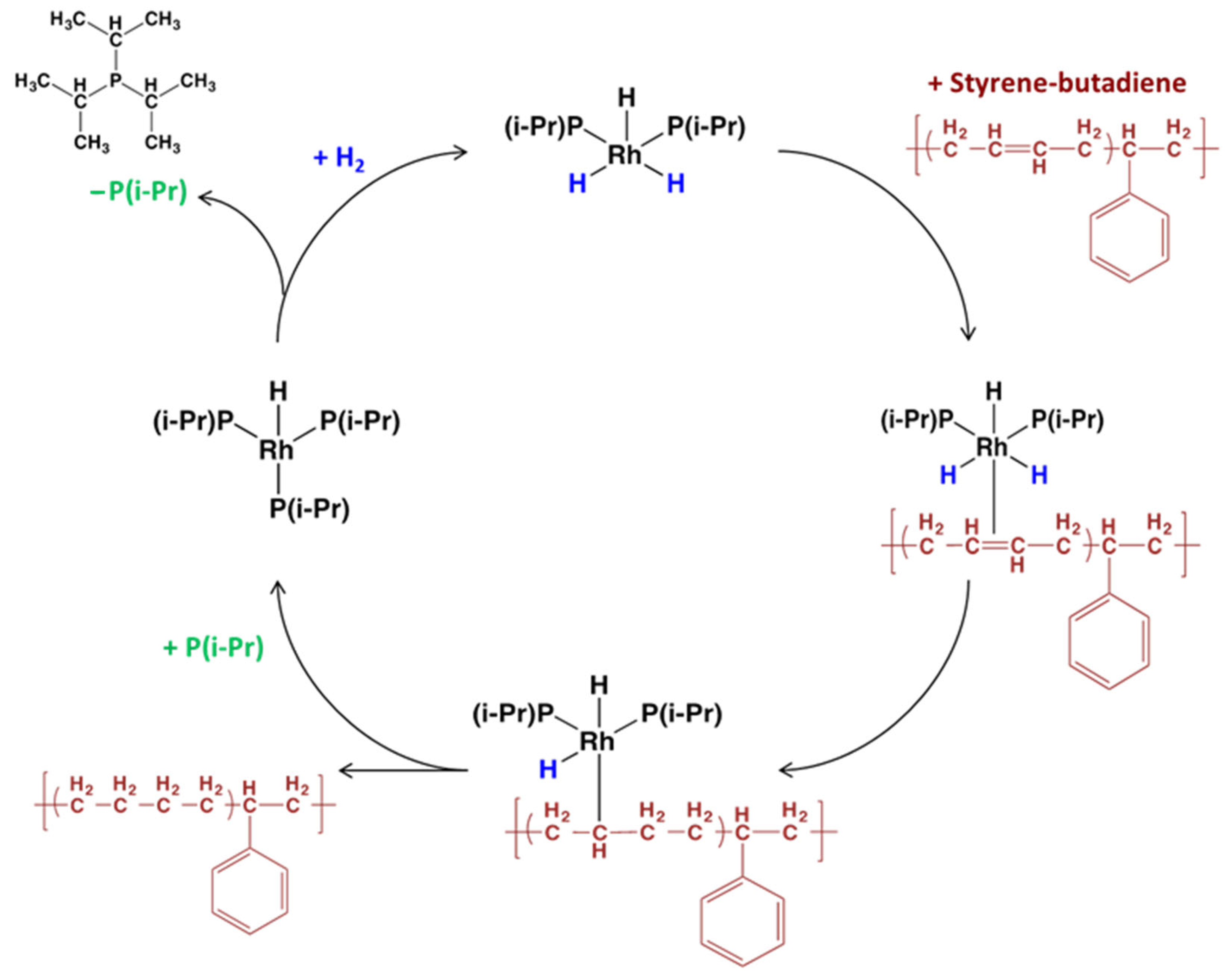Catalysts 14 00143 g006
