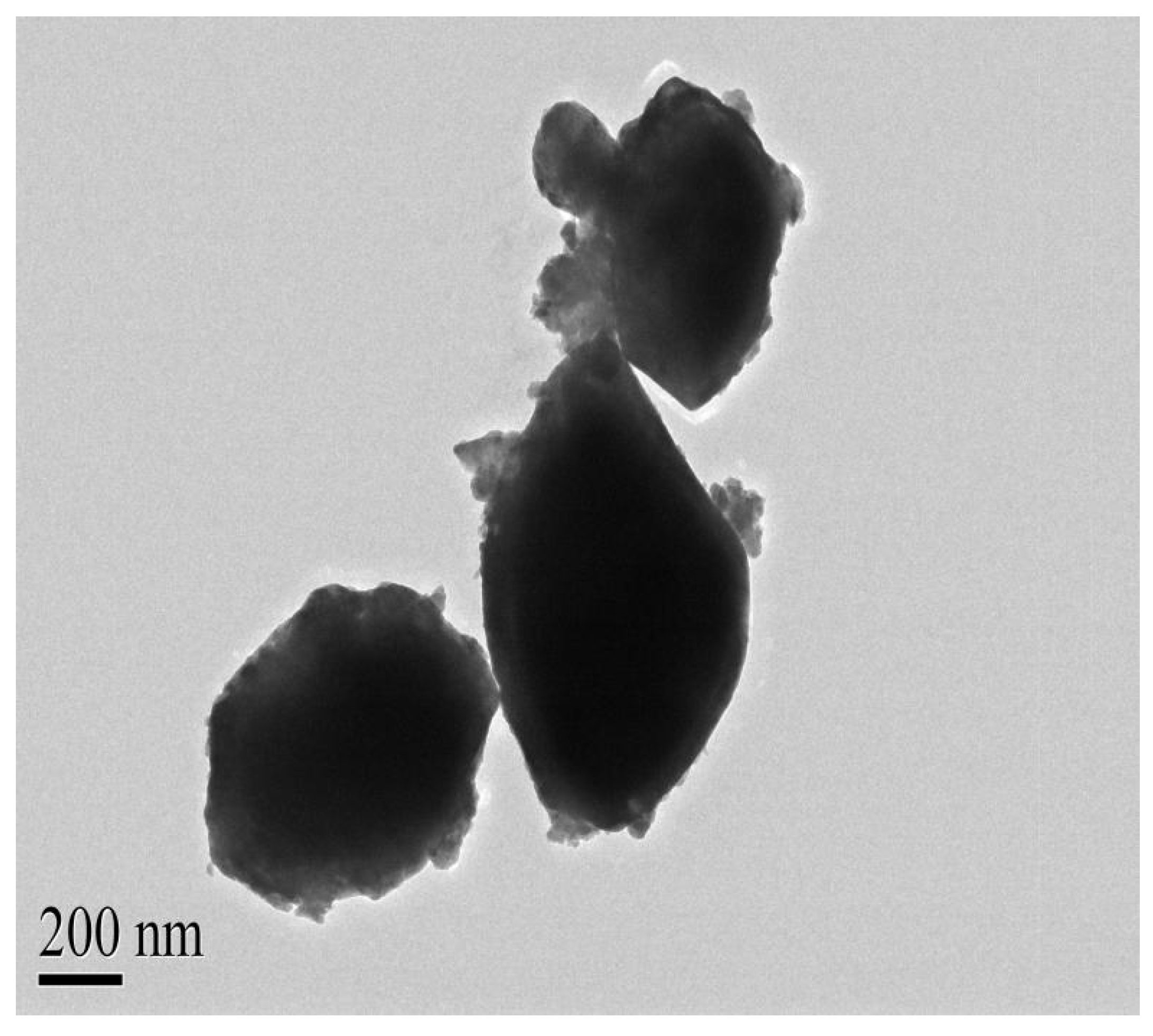 Catalysts 14 00144 g012