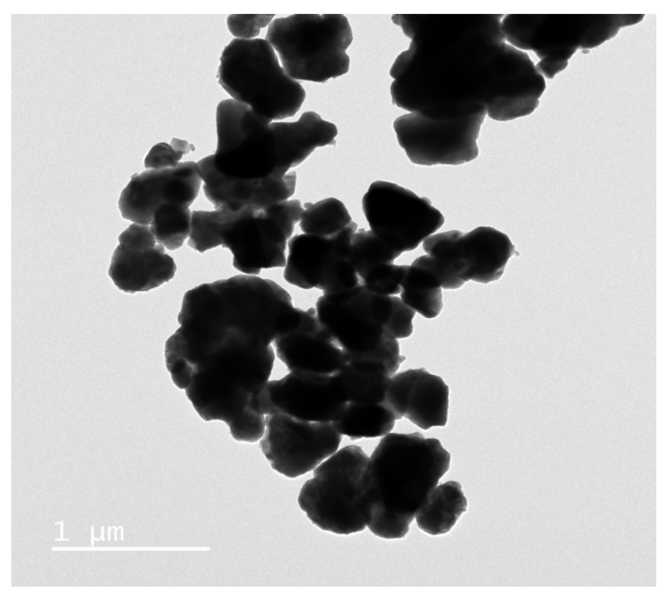 Catalysts 14 00144 g013