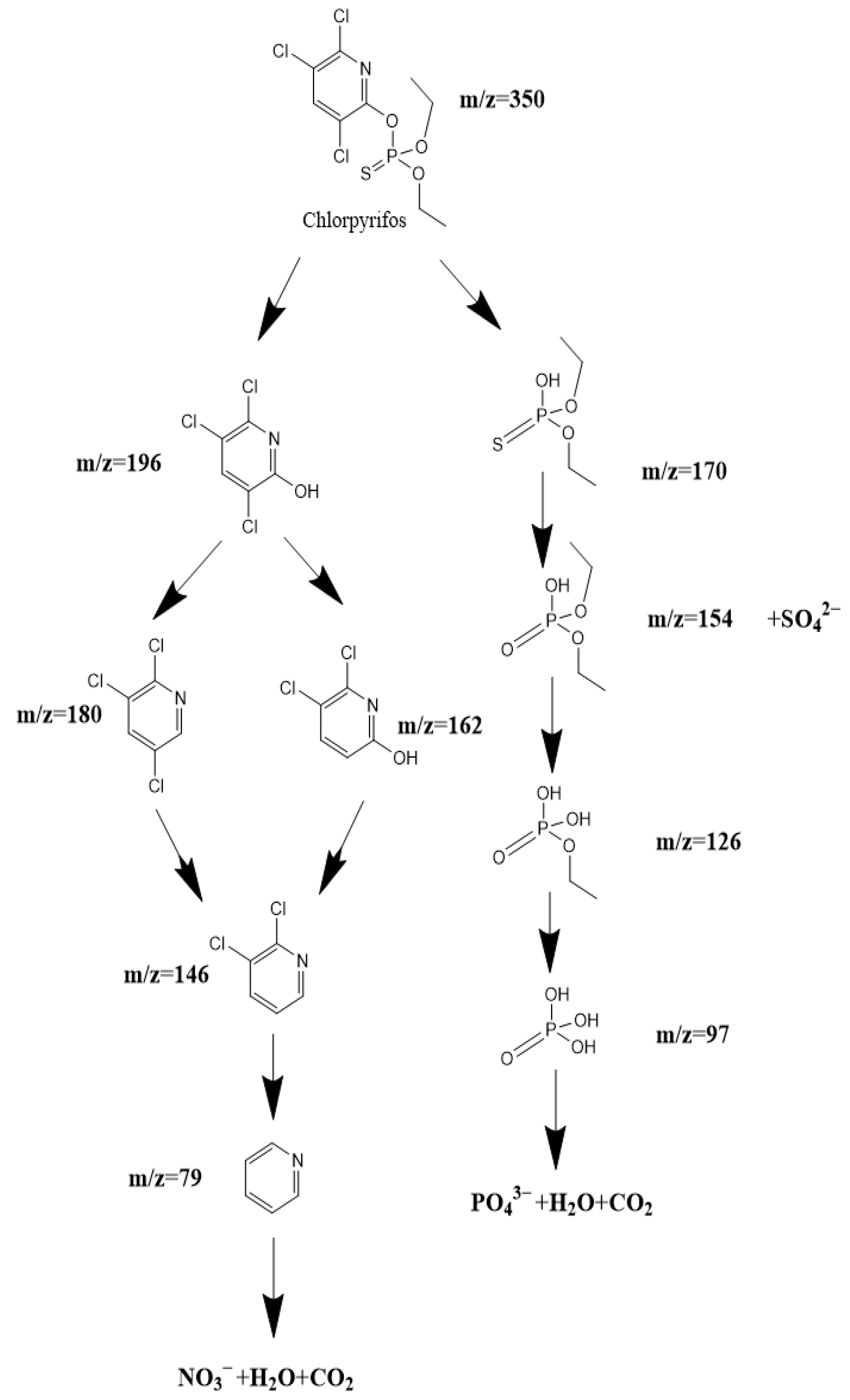 Catalysts 14 00144 g029
