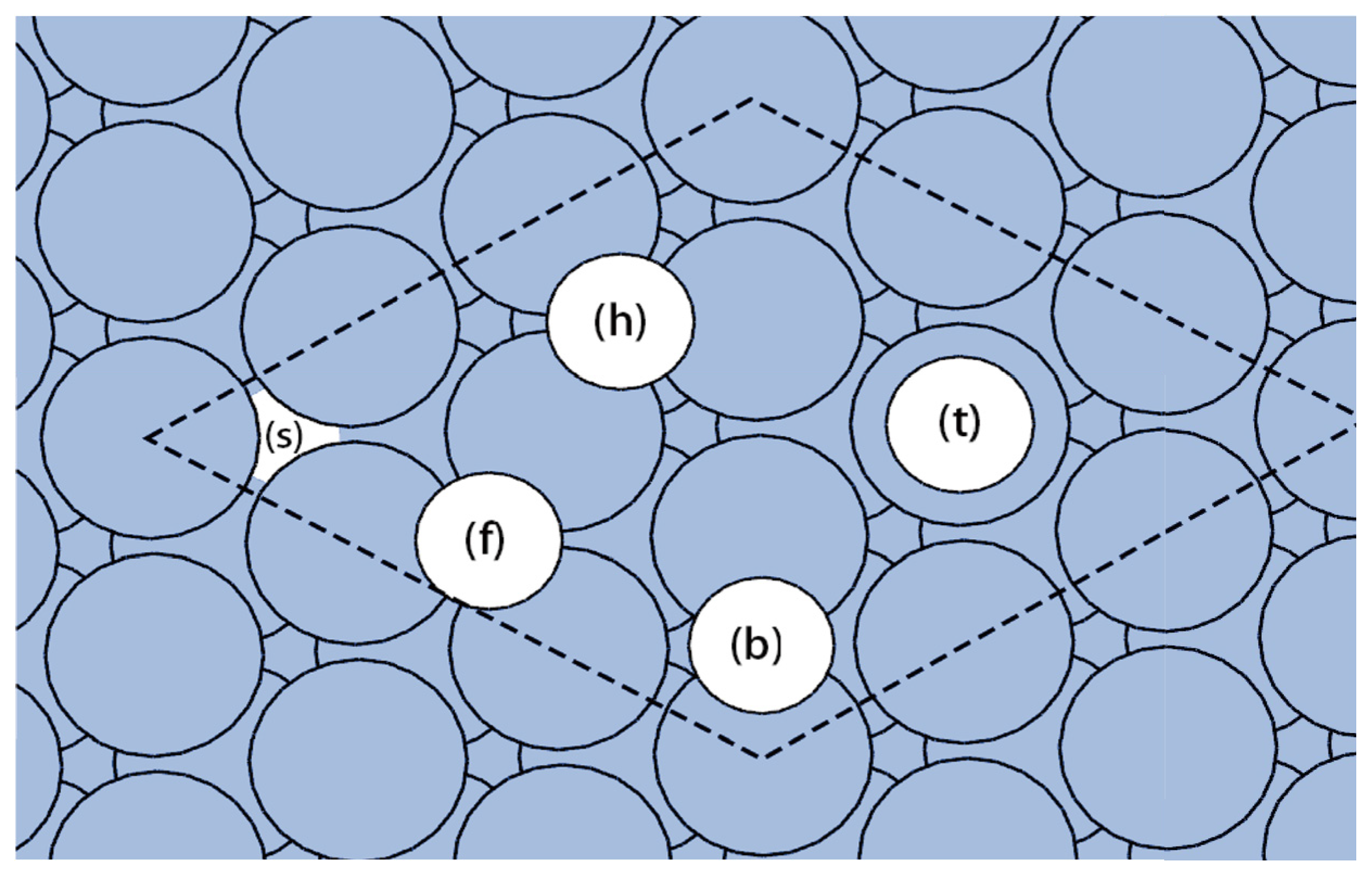Catalysts 14 00145 g001