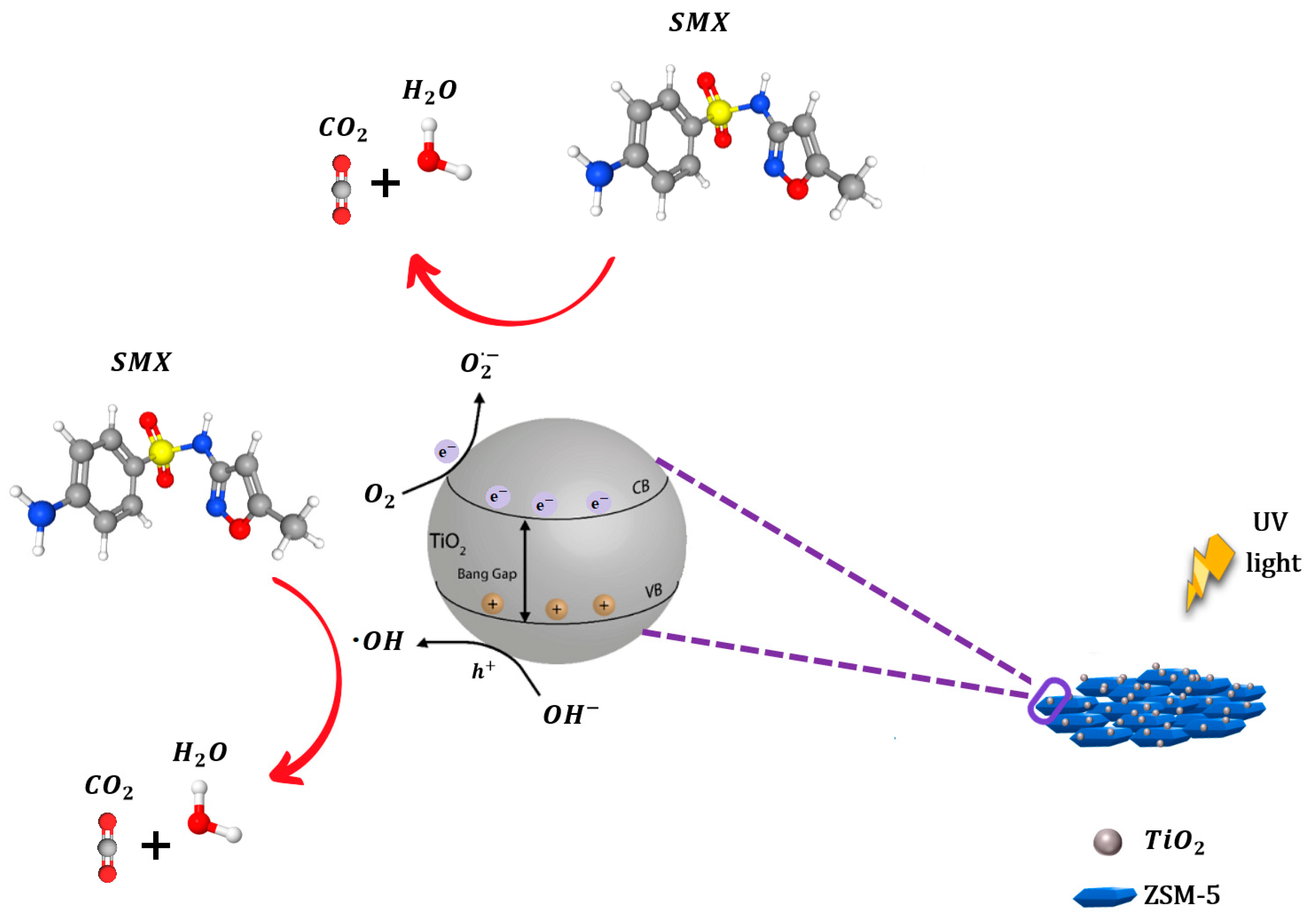 Catalysts 14 00147 g010