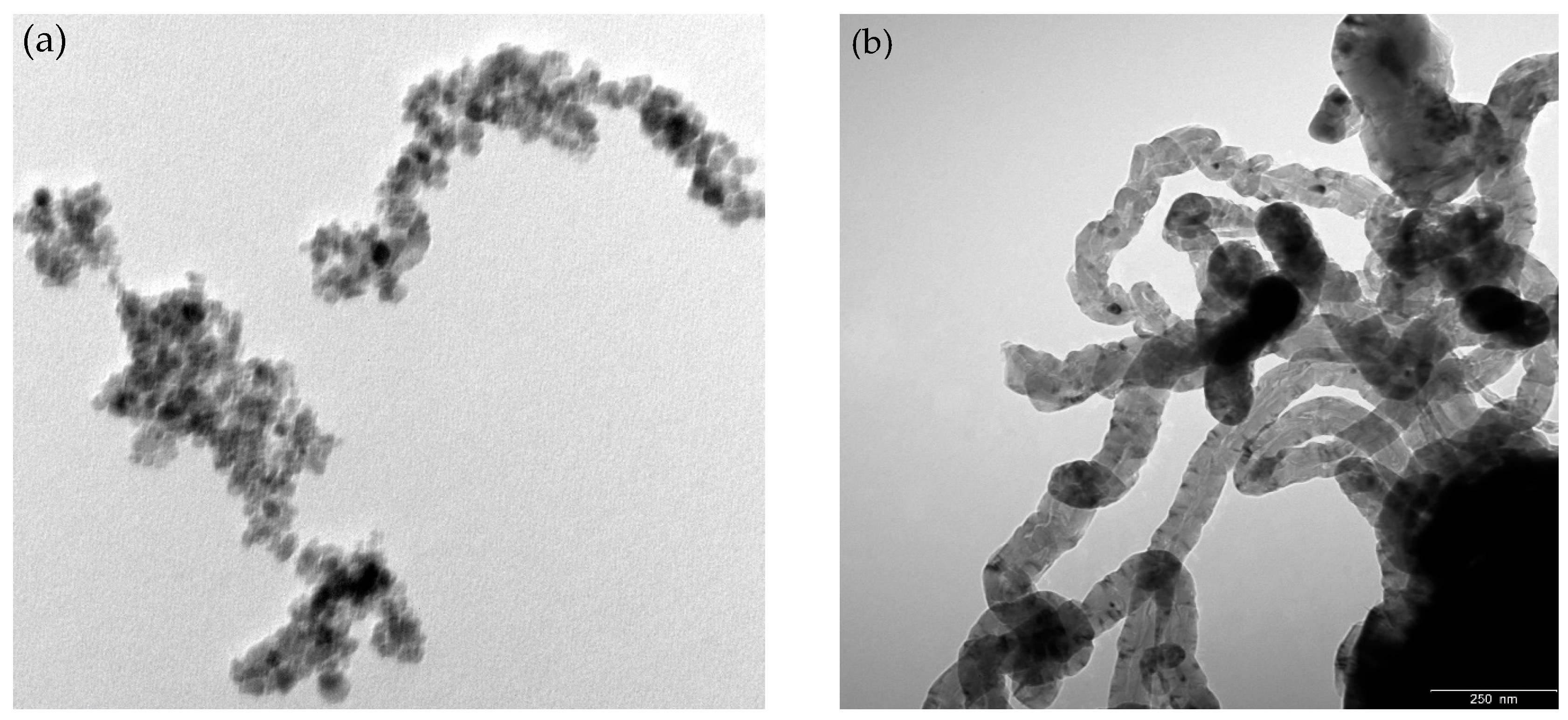 Catalysts 14 00149 g003