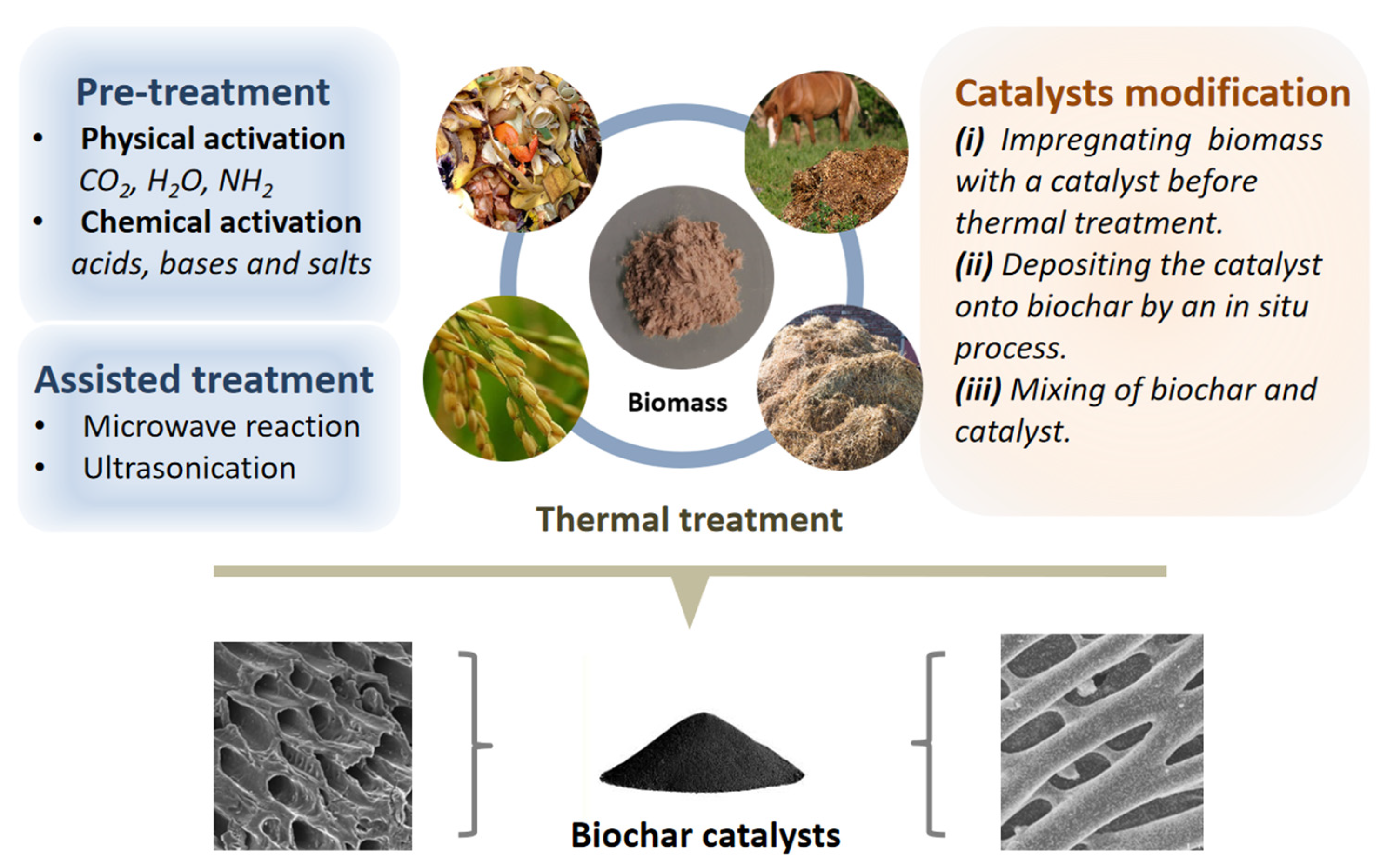 Catalysts 14 00155 g002
