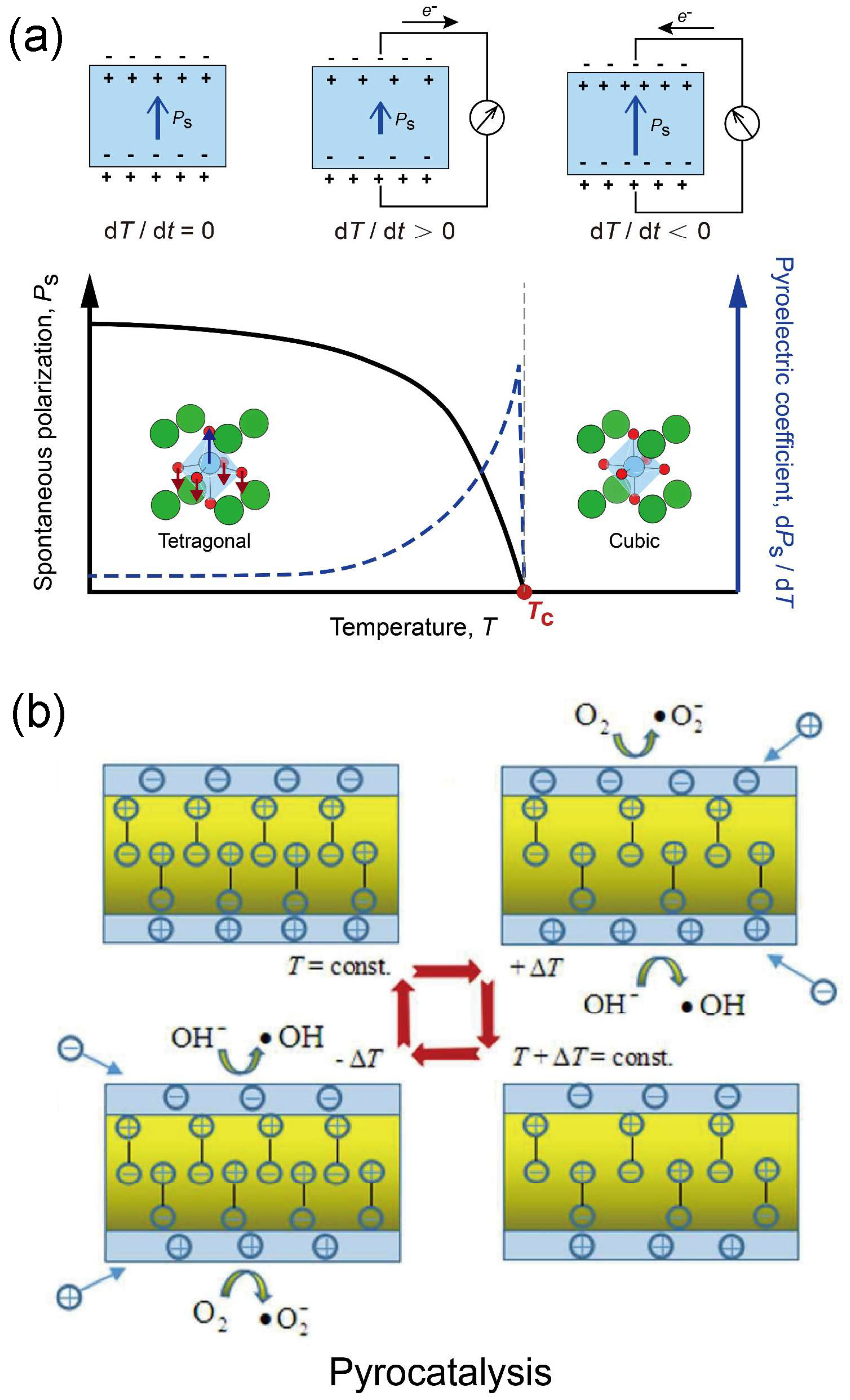 Catalysts 14 00159 g002