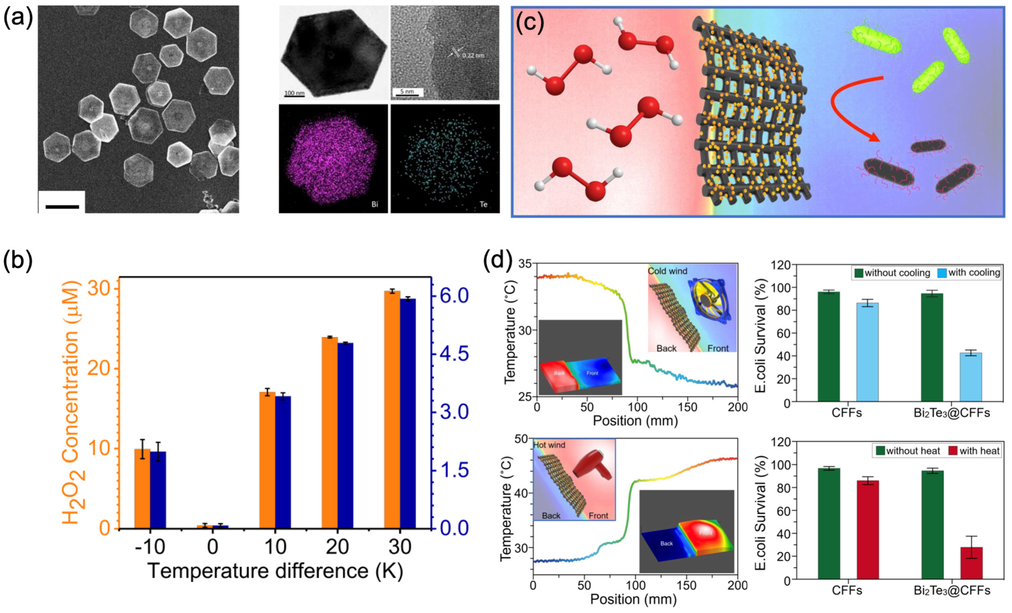 Catalysts 14 00159 g009