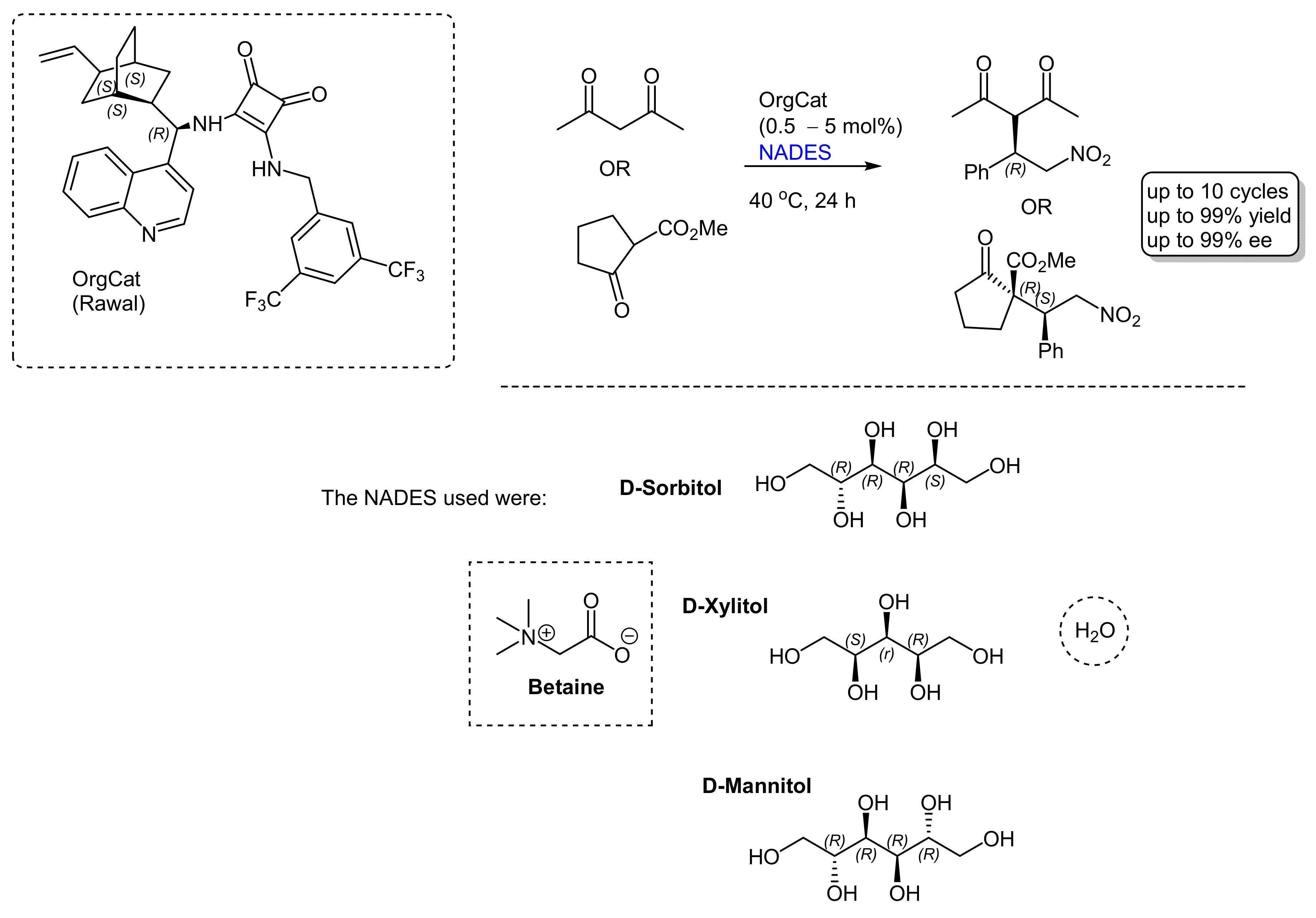 Catalysts 14 00160 sch001
