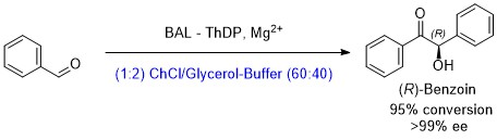 Catalysts 14 00160 sch007