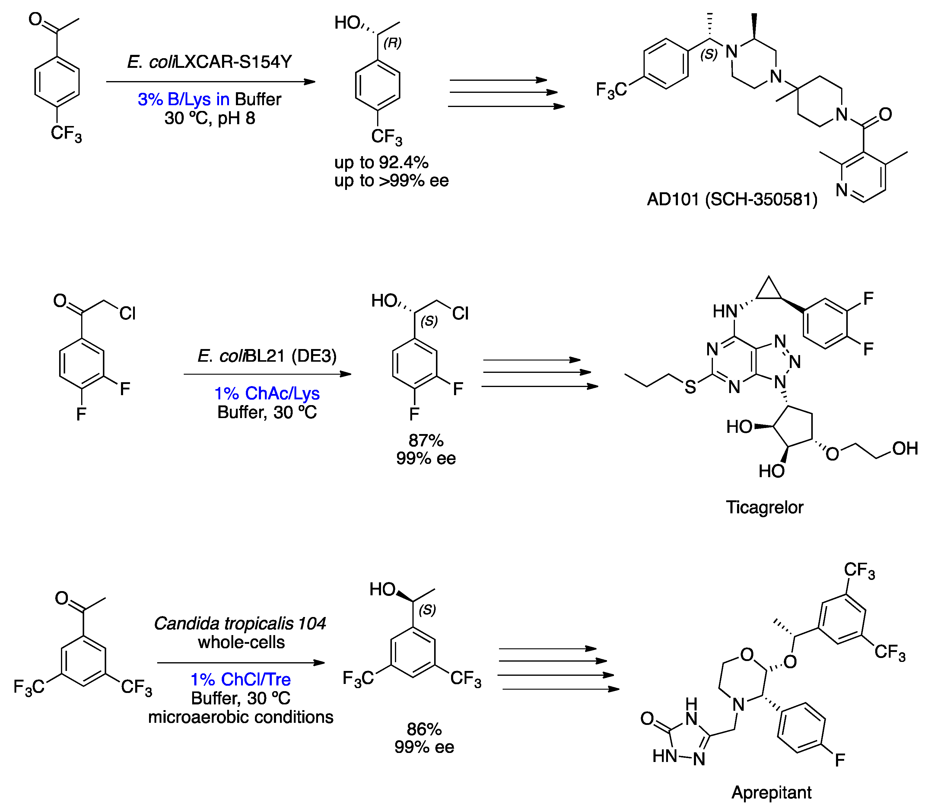 Catalysts 14 00160 sch008