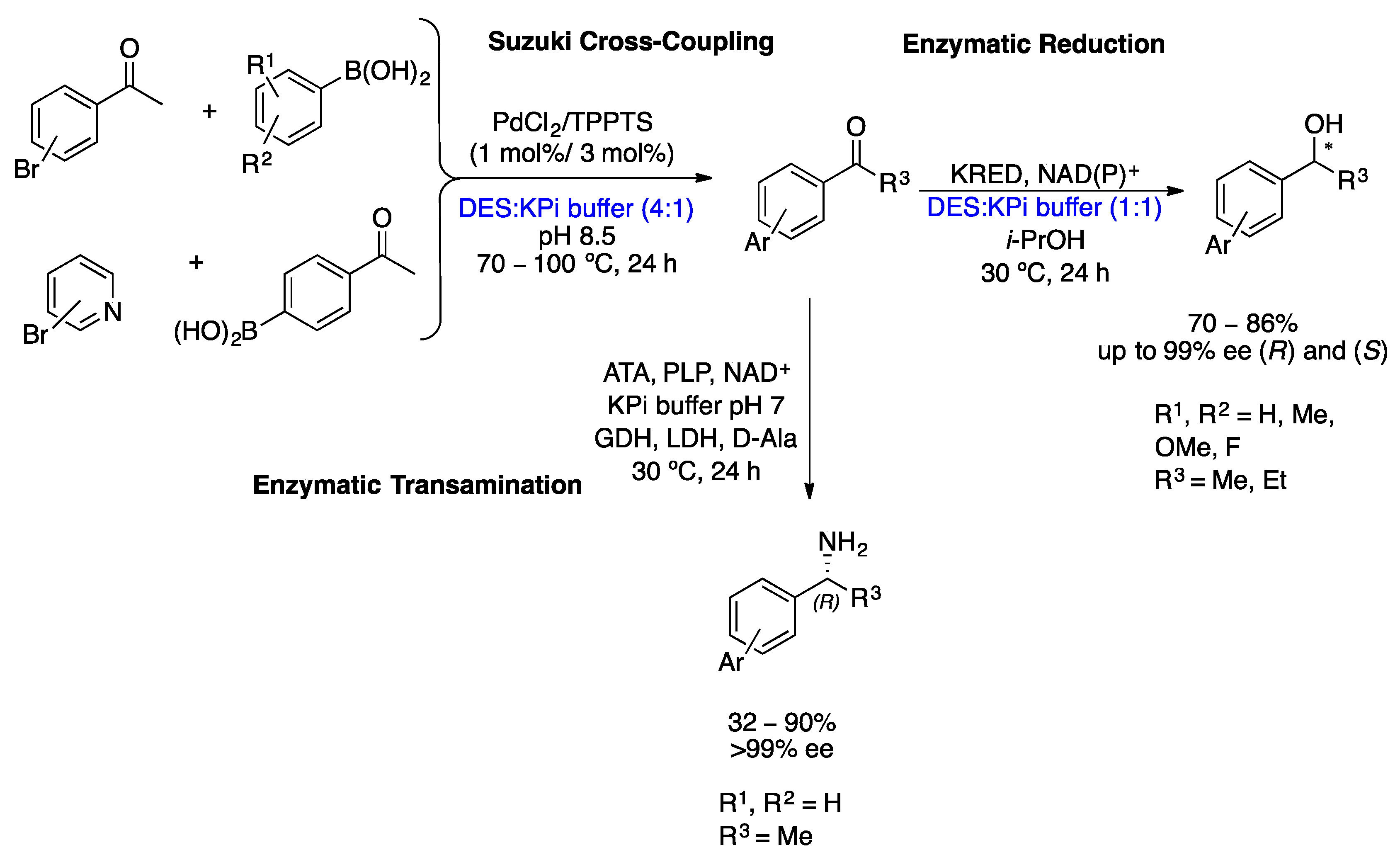 Catalysts 14 00160 sch013