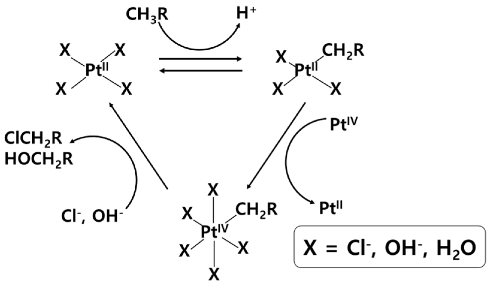 Catalysts 14 00167 g003
