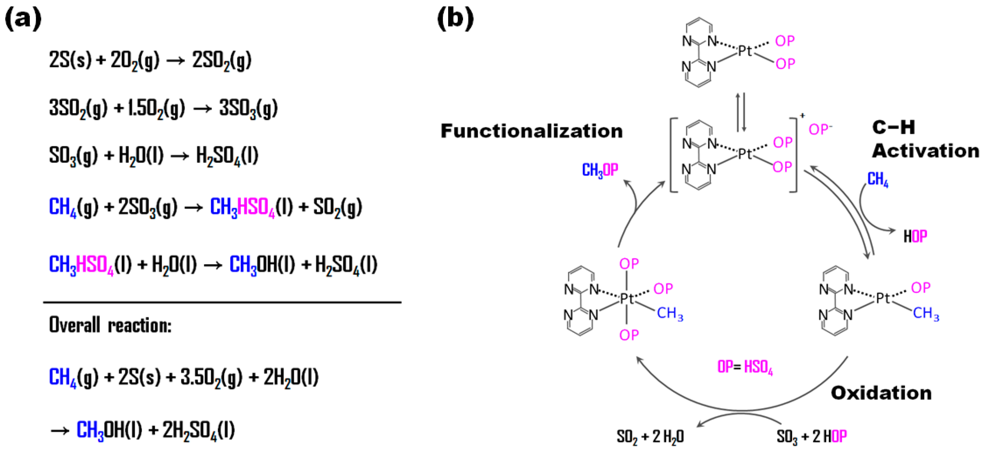 Catalysts 14 00167 g006